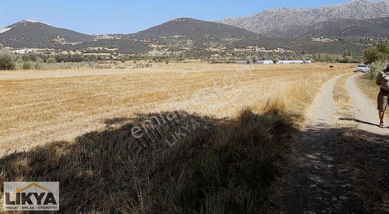 Seki'de Satılık 10157 M2 Düz Tarla - Görsel 10