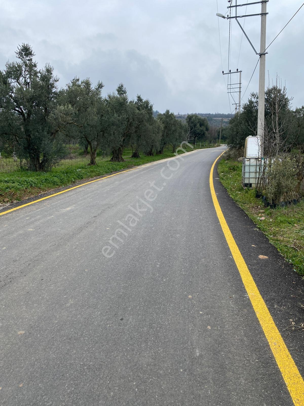 Konutix'ten Sakarya Geyve Doğantepe'de Villa İmarlı Arsa - Görsel 2