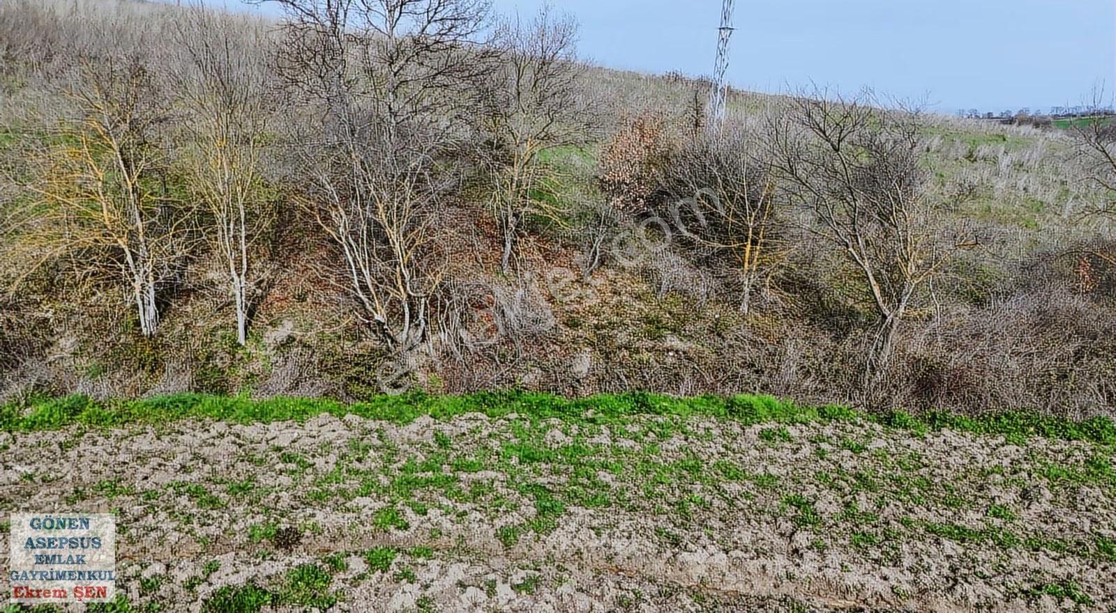 Yatırımlık 11.700 M² Tek Tapu Tarla, Köye 650 M Yatırımlık Tarla