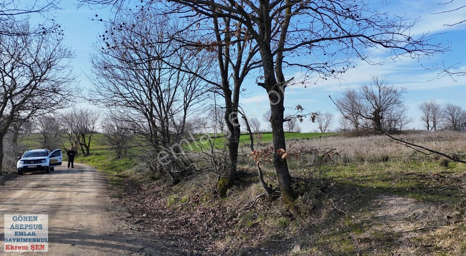 3.450 M² Satılık Tarla Hobi Bahçesi & Yatırımlık Gönene 10 Km - Görsel 3