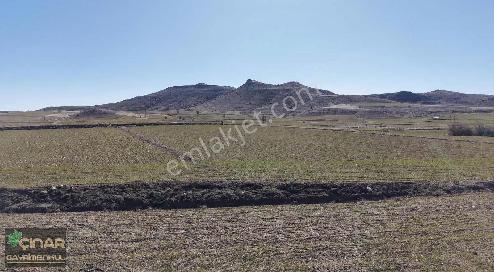 Emmilerde Baraj Manzaralı 5.500 M2 Tek Tapu Satılık Tarla - Görsel 4