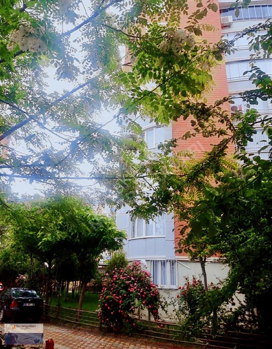 Necaroğullarından Memorıal Hastahanesi Civarı 3+1 - Görsel 27
