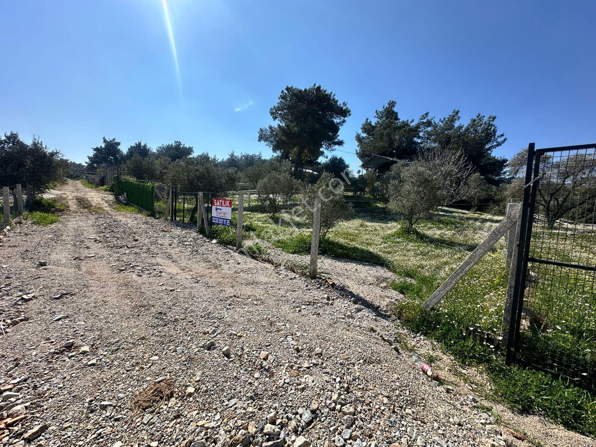 Kuş Sesleri İçinde Yazıbaşı'nda 500m2 Huzur Bahçesi.. - Görsel 8