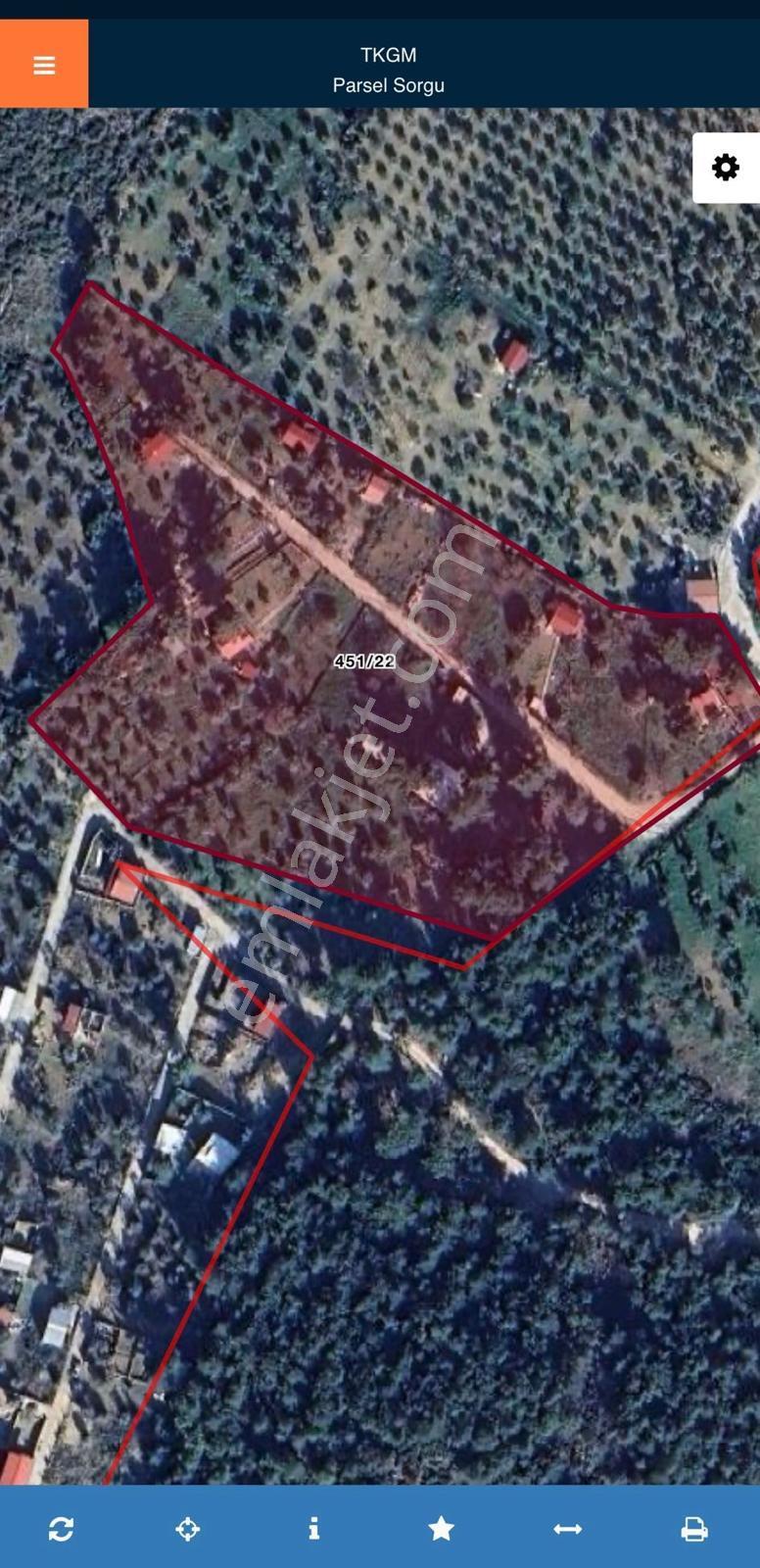 Kuş Sesleri İçinde Yazıbaşı'nda 500m2 Huzur Bahçesi.. - Görsel 13