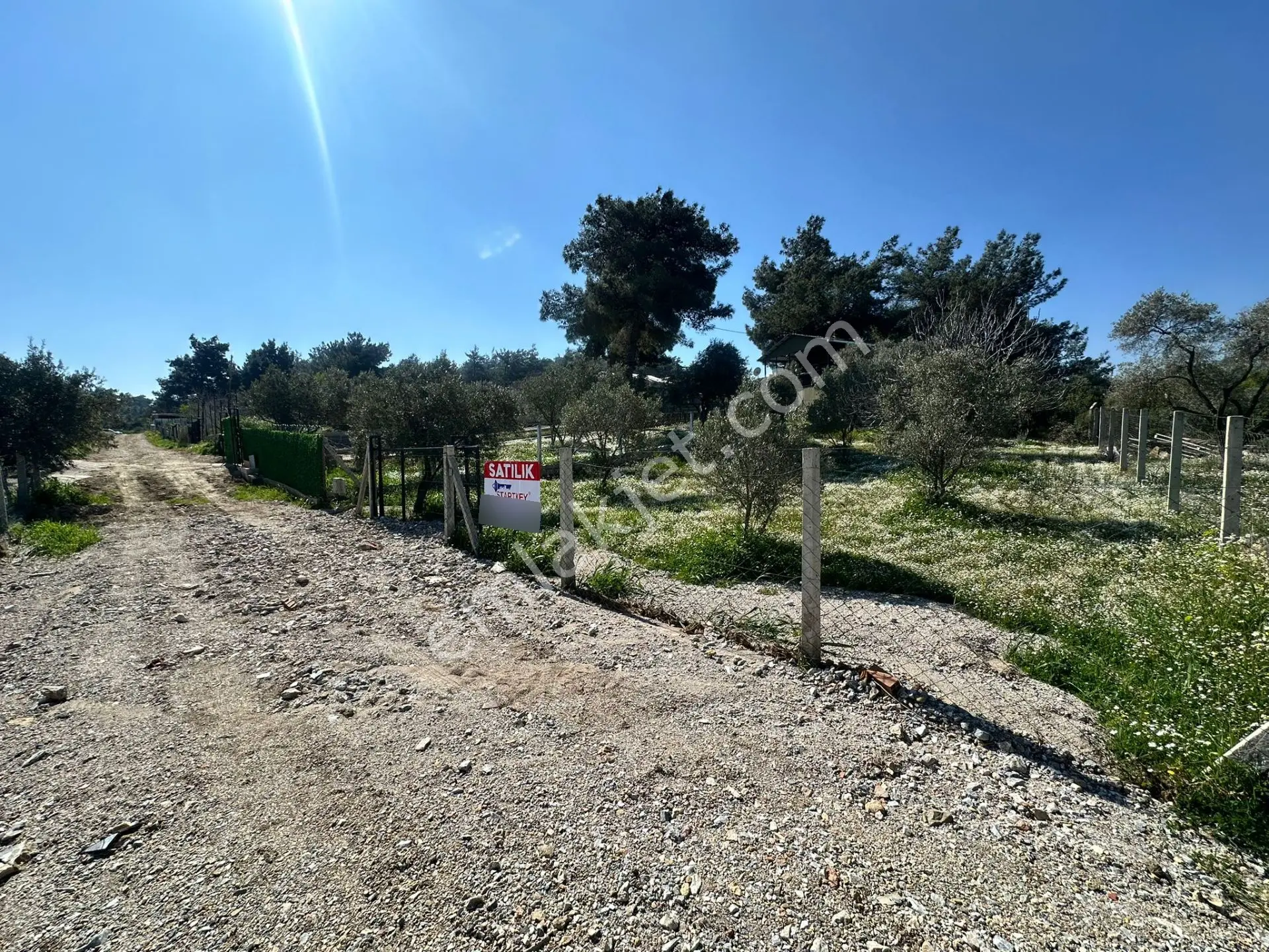Kuş Sesleri İçinde Yazıbaşı'nda 500m2 Huzur Bahçesi.. - Görsel 4