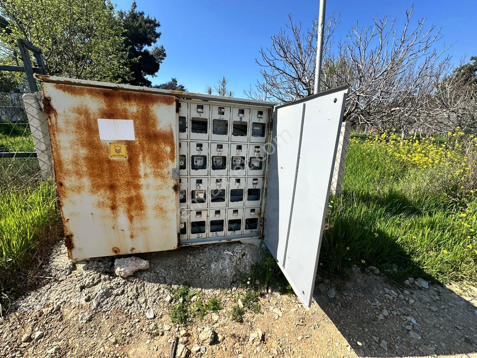 Kuş Sesleri İçinde Yazıbaşı'nda 500m2 Huzur Bahçesi.. - Görsel 11