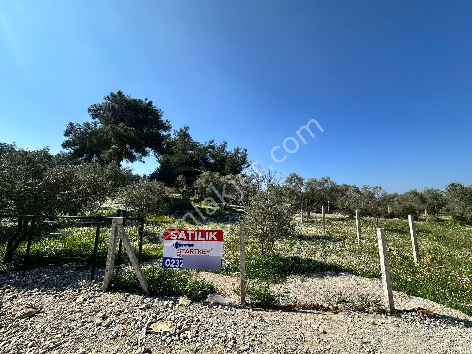 Kuş Sesleri İçinde Yazıbaşı'nda 500m2 Huzur Bahçesi.. - Görsel 2