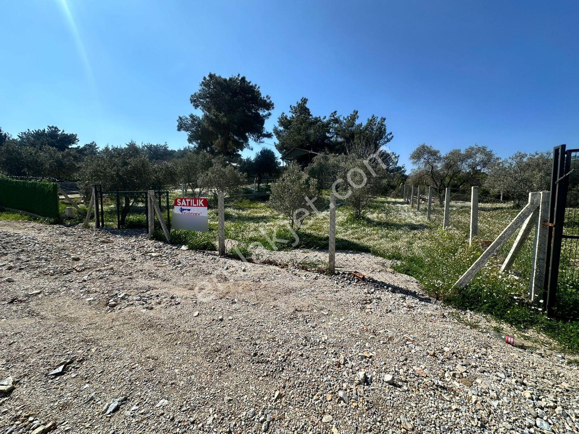 Kuş Sesleri İçinde Yazıbaşı'nda 500m2 Huzur Bahçesi.. - Görsel 6