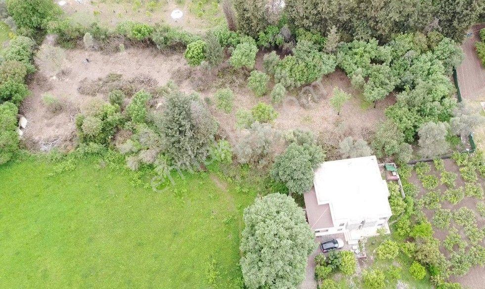 Bodrum Ortakentte 3.502 M² Hayalinizdeki Çiftlik Evi - Görsel 22