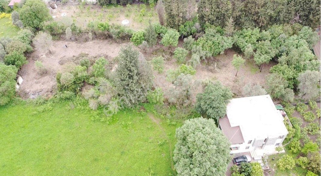 Bodrum Ortakentte 3.502 M² Hayalinizdeki Çiftlik Evi - Görsel 14