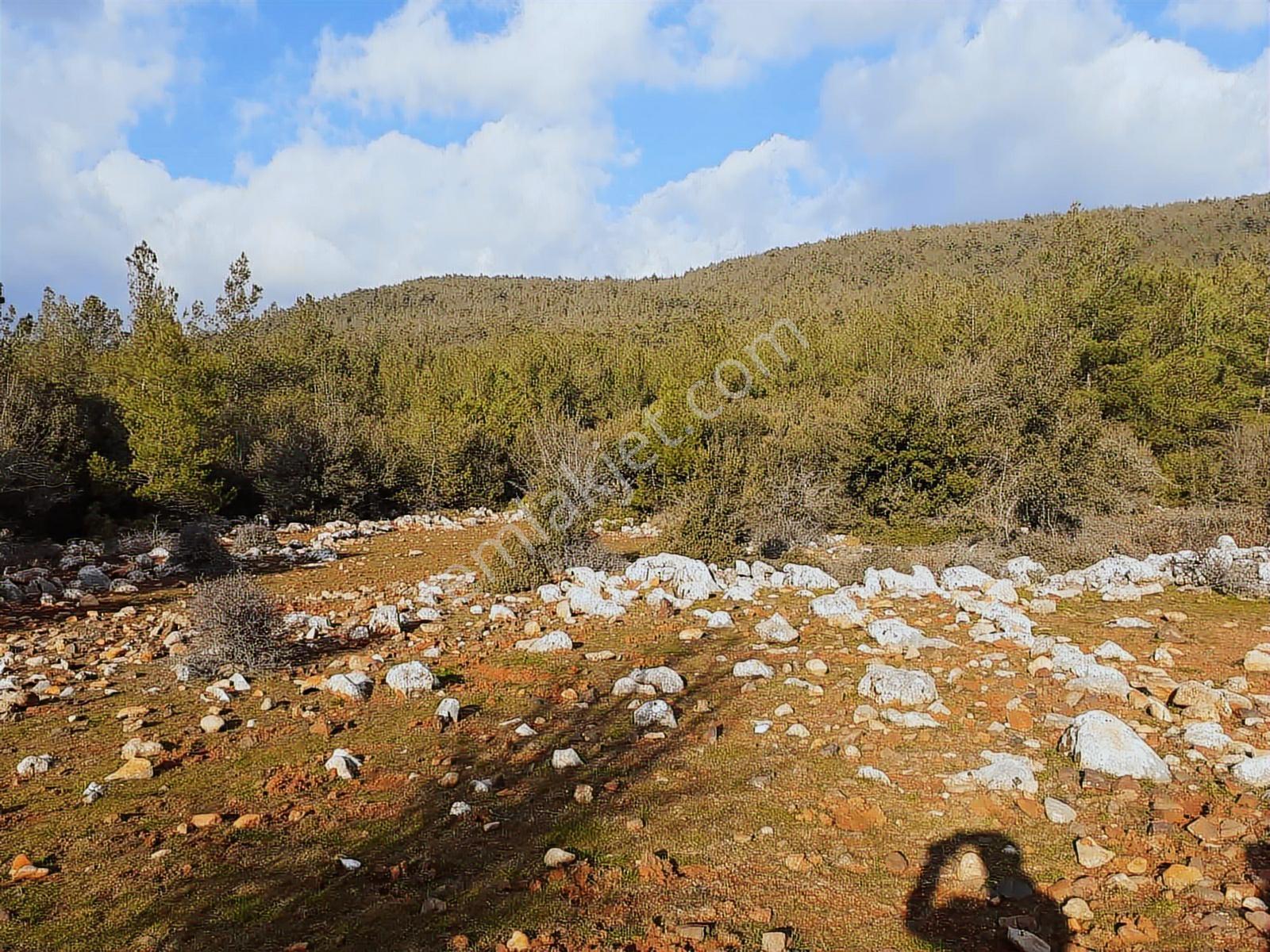 Yatağan Bencik Yenide 9.682m² Satılık Tarla - Görsel 5