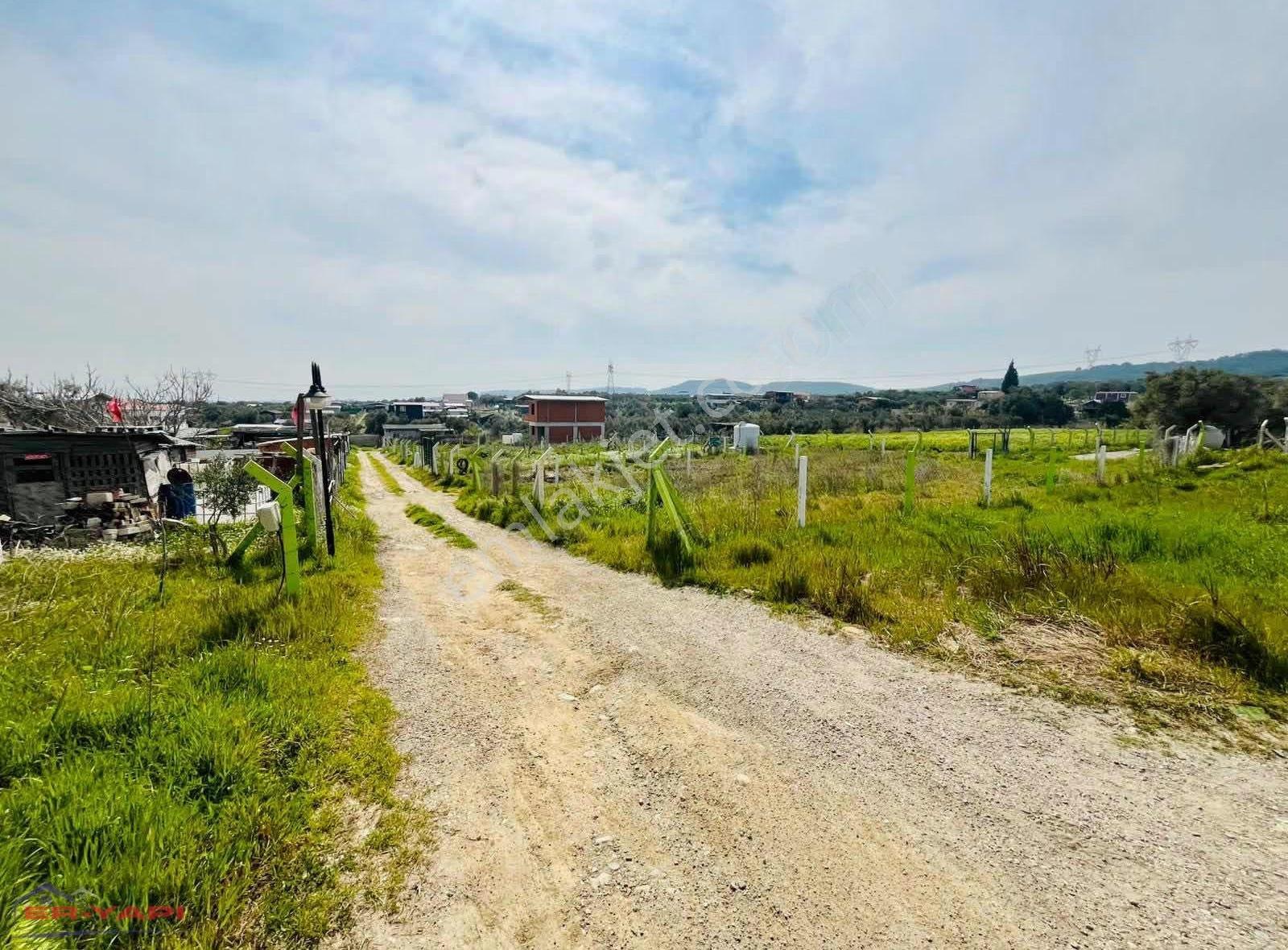 Er Yapı Emlak Ofisinden Ata Miras Elektrik Su Bulunan Parseller - Görsel 16