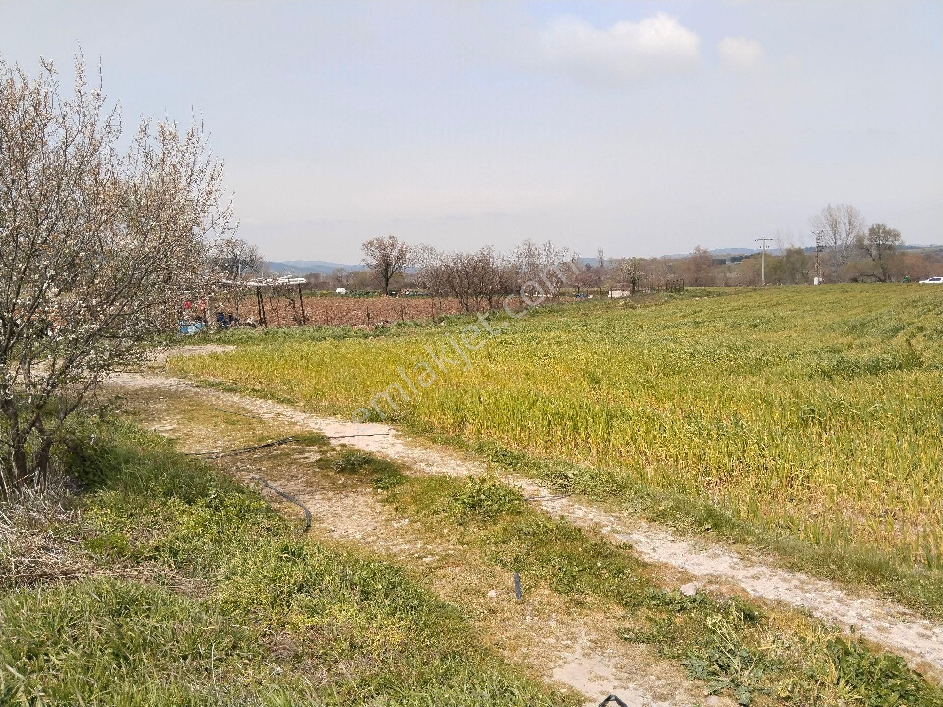 Aldın Aldın Çanakkale Ezıne Ilçesının En Ucuz Hesaplısı Merkez Ilçe Ye Çok Yakın - Görsel 34