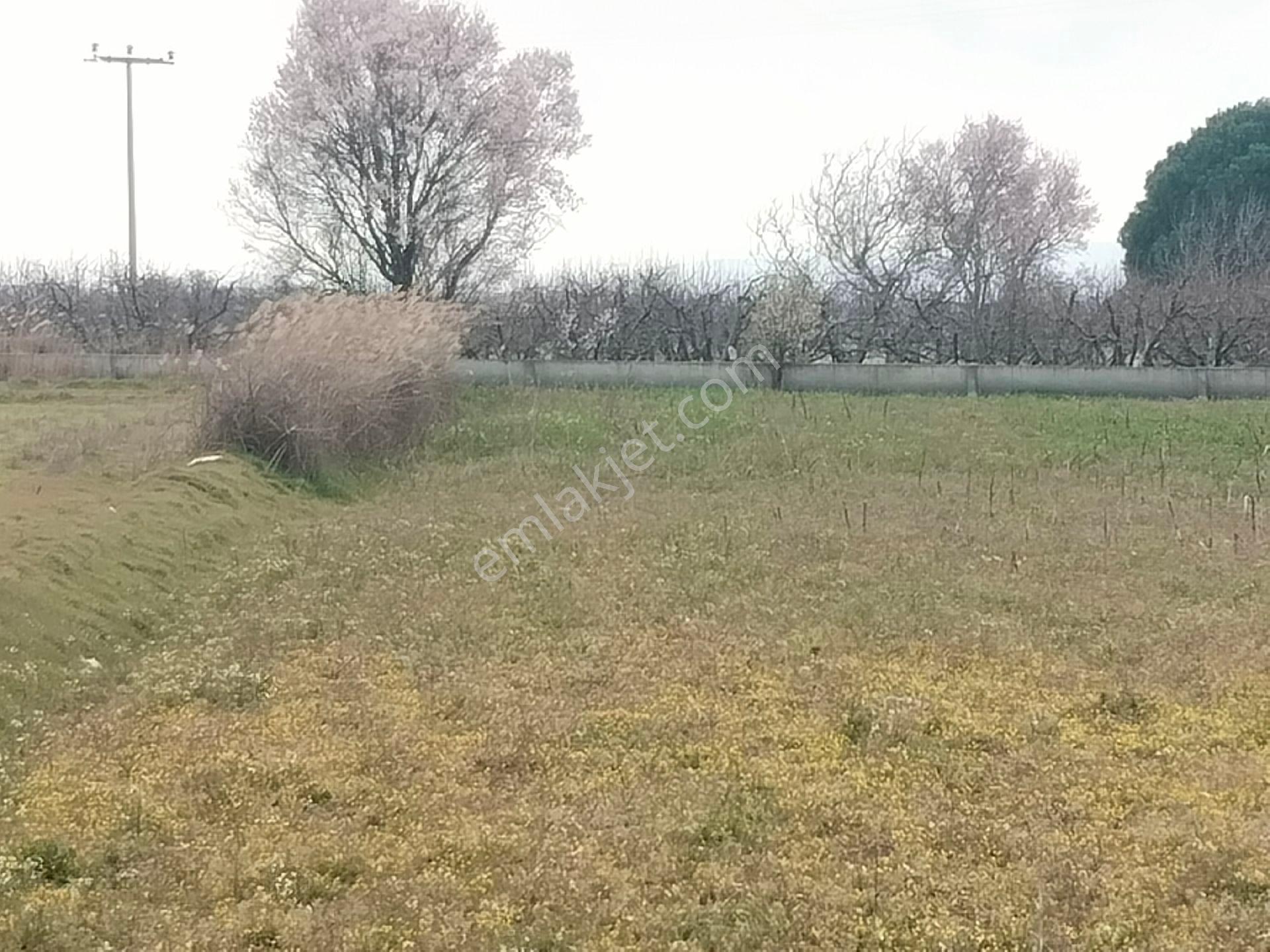 Aldın Aldın Çanakkale Ezıne Ilçesının En Ucuz Hesaplısı Merkez Ilçe Ye Çok Yakın - Görsel 13
