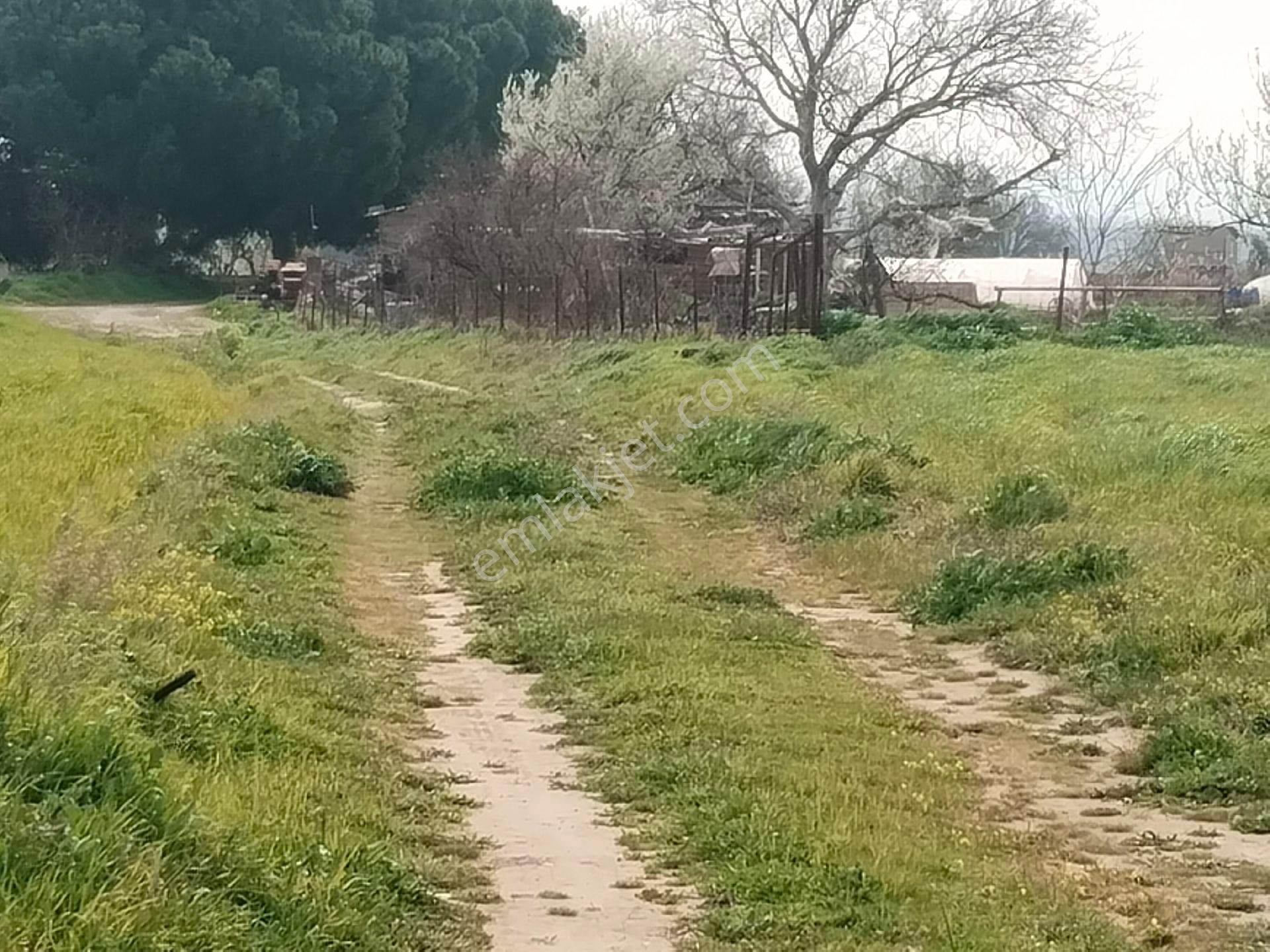 Aldın Aldın Çanakkale Ezıne Ilçesının En Ucuz Hesaplısı Merkez Ilçe Ye Çok Yakın - Görsel 21