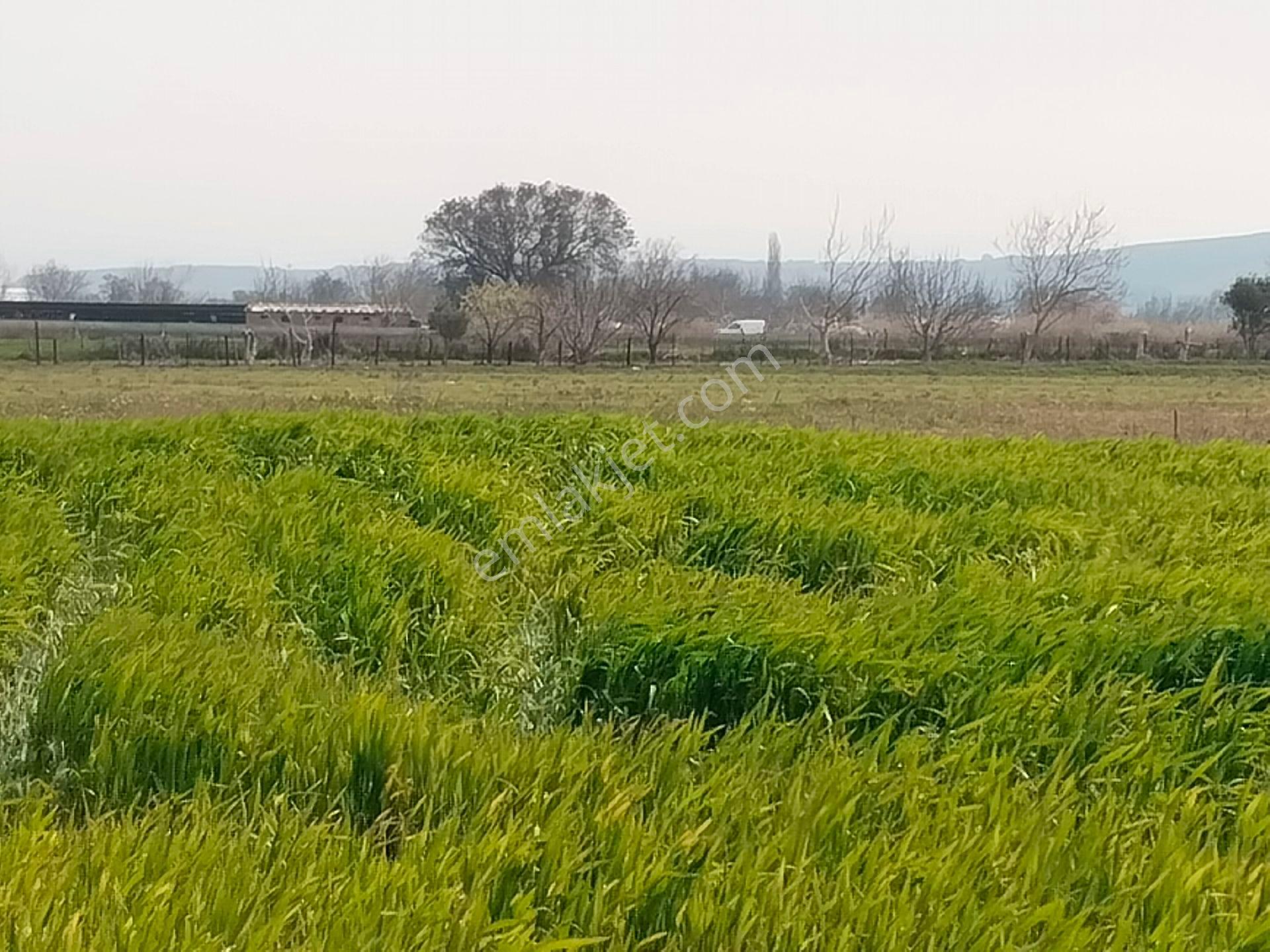 Aldın Aldın Çanakkale Ezıne Ilçesının En Ucuz Hesaplısı Merkez Ilçe Ye Çok Yakın - Görsel 23