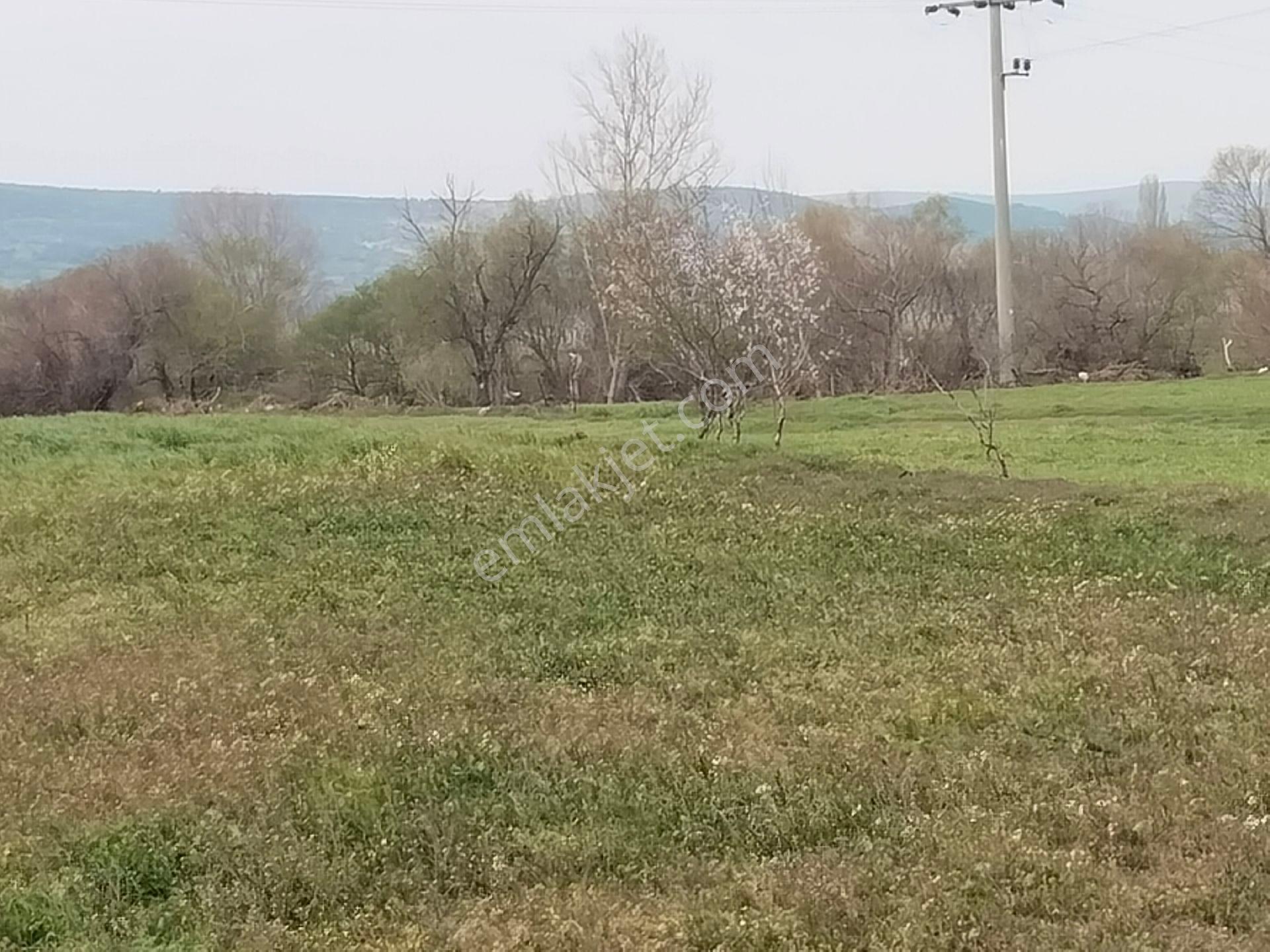 Aldın Aldın Çanakkale Ezıne Ilçesının En Ucuz Hesaplısı Merkez Ilçe Ye Çok Yakın - Görsel 29