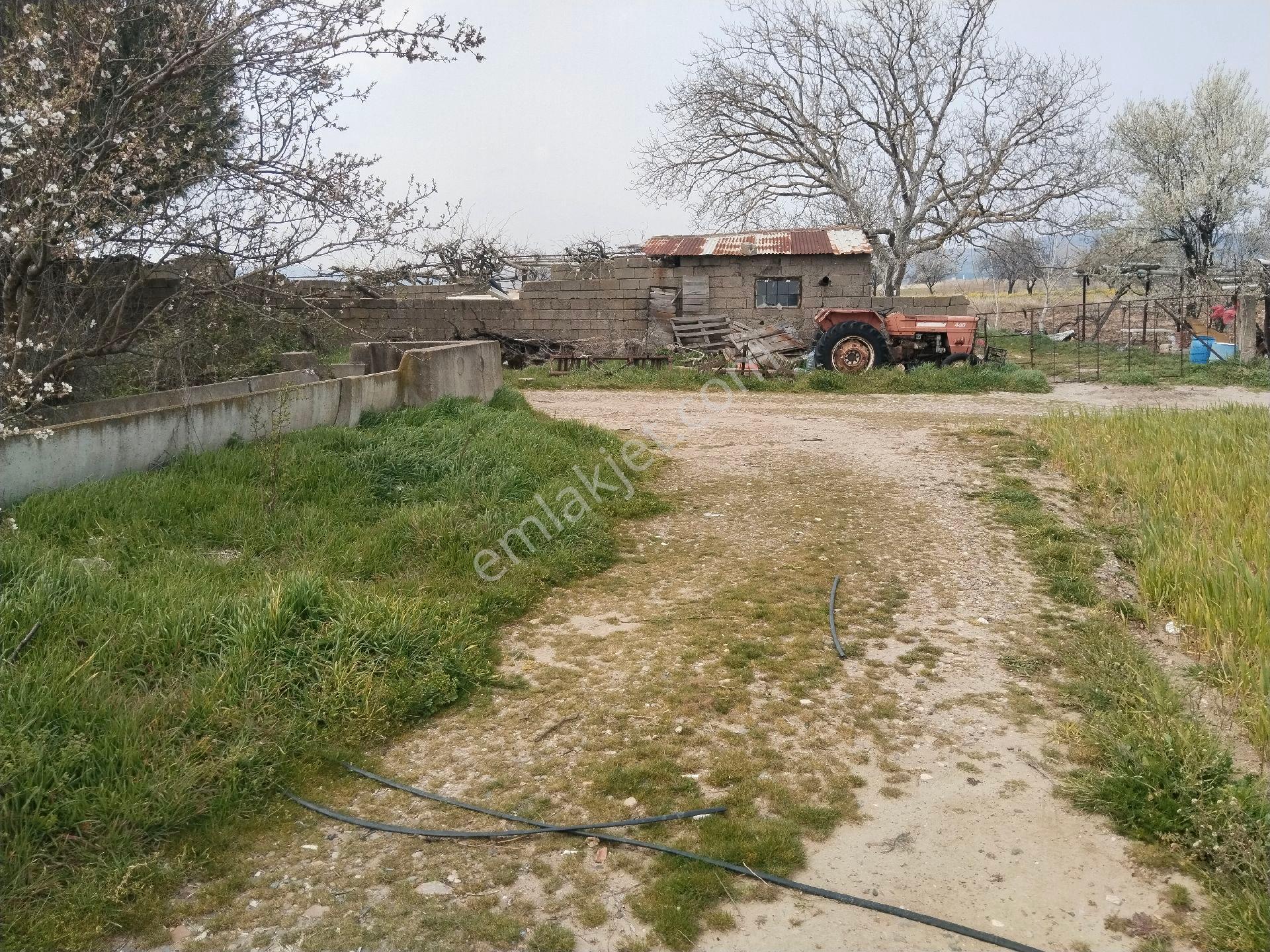 Aldın Aldın Çanakkale Ezıne Ilçesının En Ucuz Hesaplısı Merkez Ilçe Ye Çok Yakın - Görsel 5