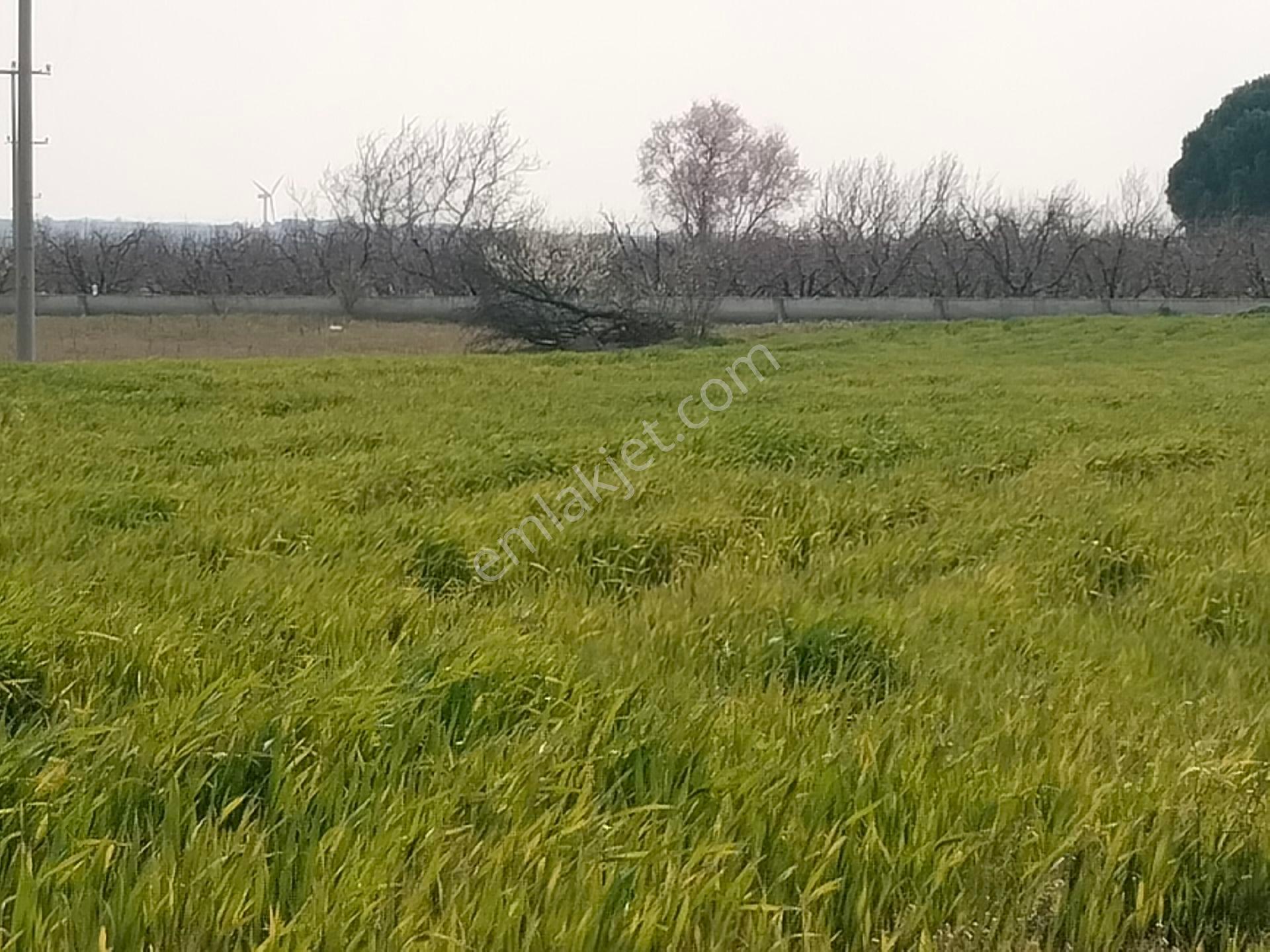 Aldın Aldın Çanakkale Ezıne Ilçesının En Ucuz Hesaplısı Merkez Ilçe Ye Çok Yakın - Görsel 19