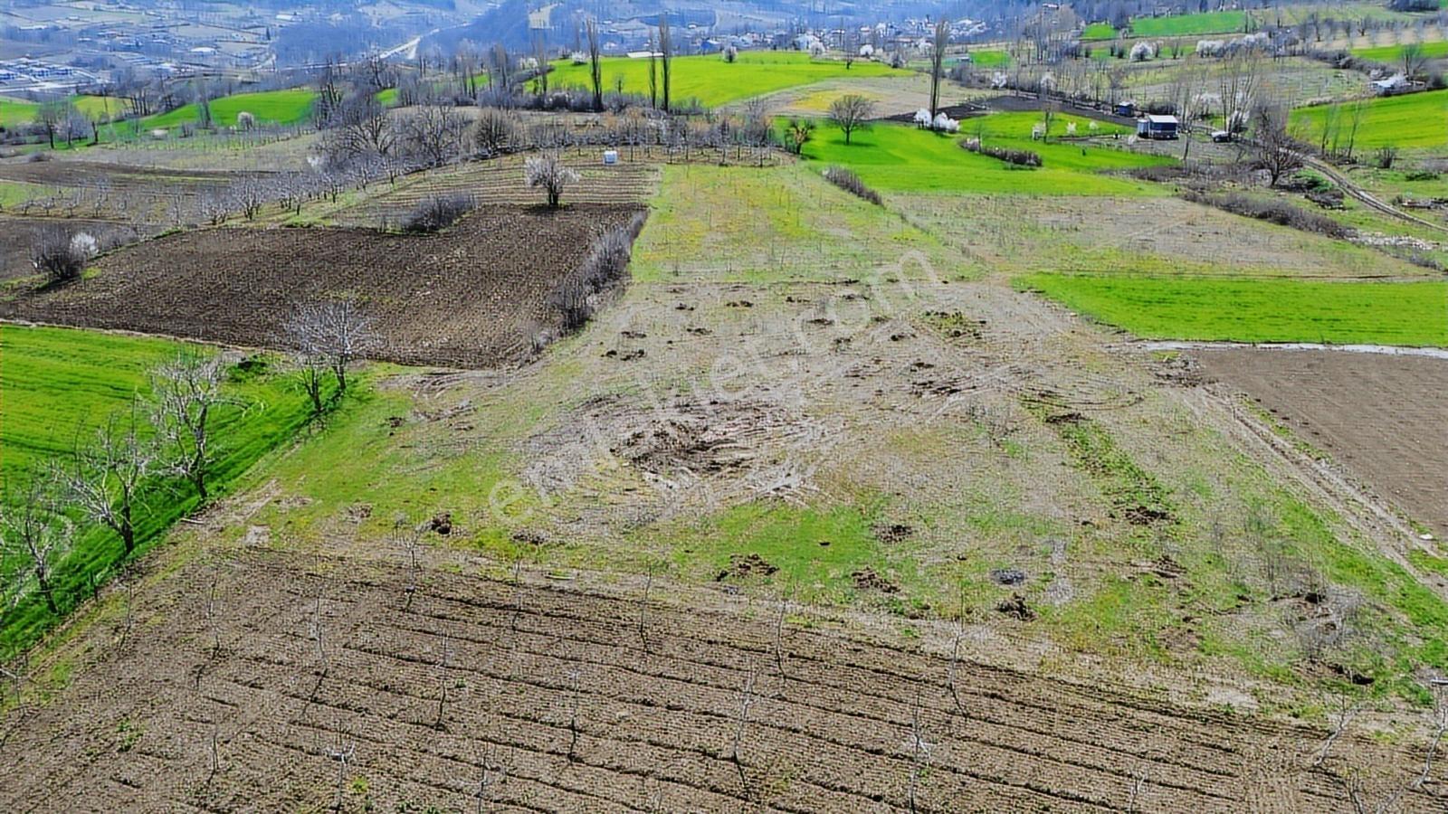 Gündüzlü'de Satılık 4.000m2 Tek Tapu Dümdüz Yatırımlık Arazi - Görsel 18