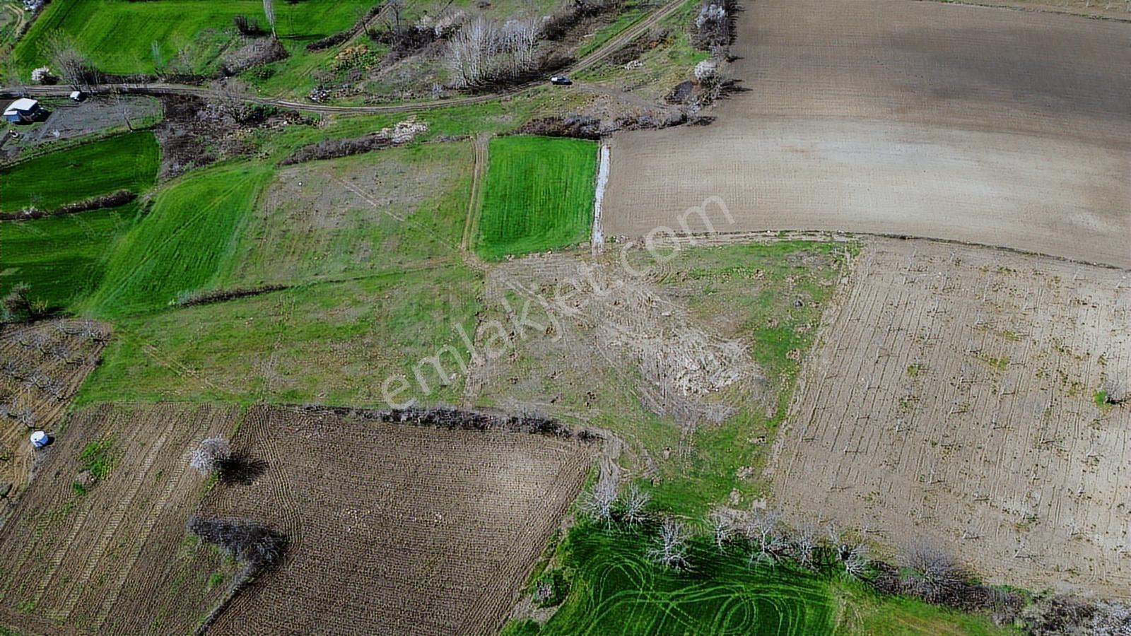 Gündüzlü'de Satılık 4.000m2 Tek Tapu Dümdüz Yatırımlık Arazi - Görsel 16