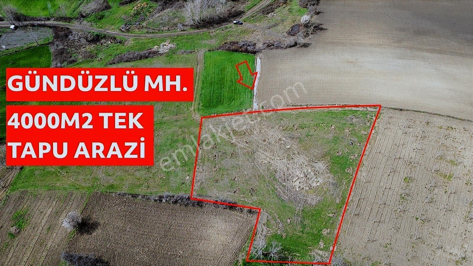 Gündüzlü'de Satılık 4.000m2 Tek Tapu Dümdüz Yatırımlık Arazi