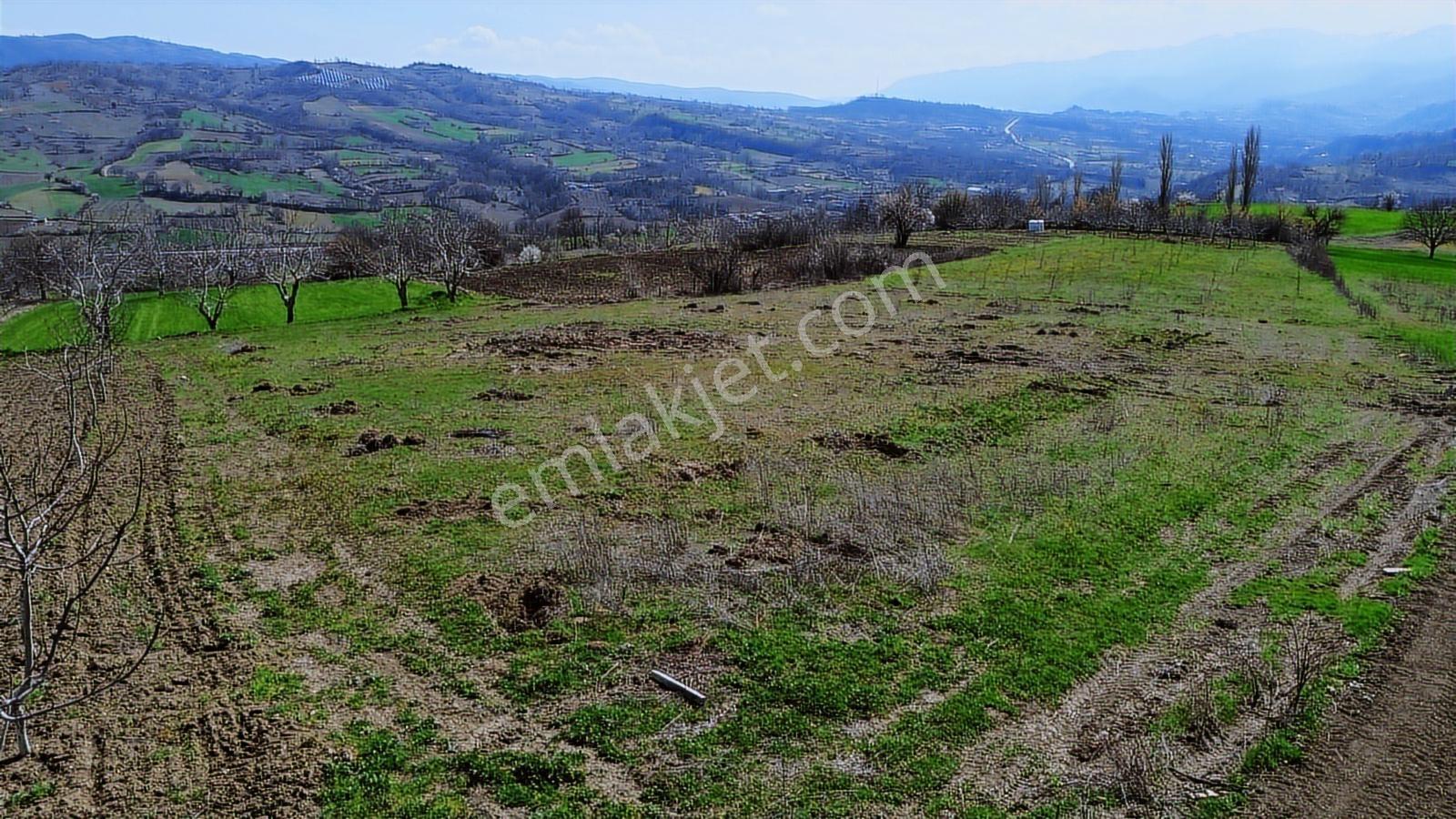 Gündüzlü'de Satılık 4.000m2 Tek Tapu Dümdüz Yatırımlık Arazi - Görsel 8