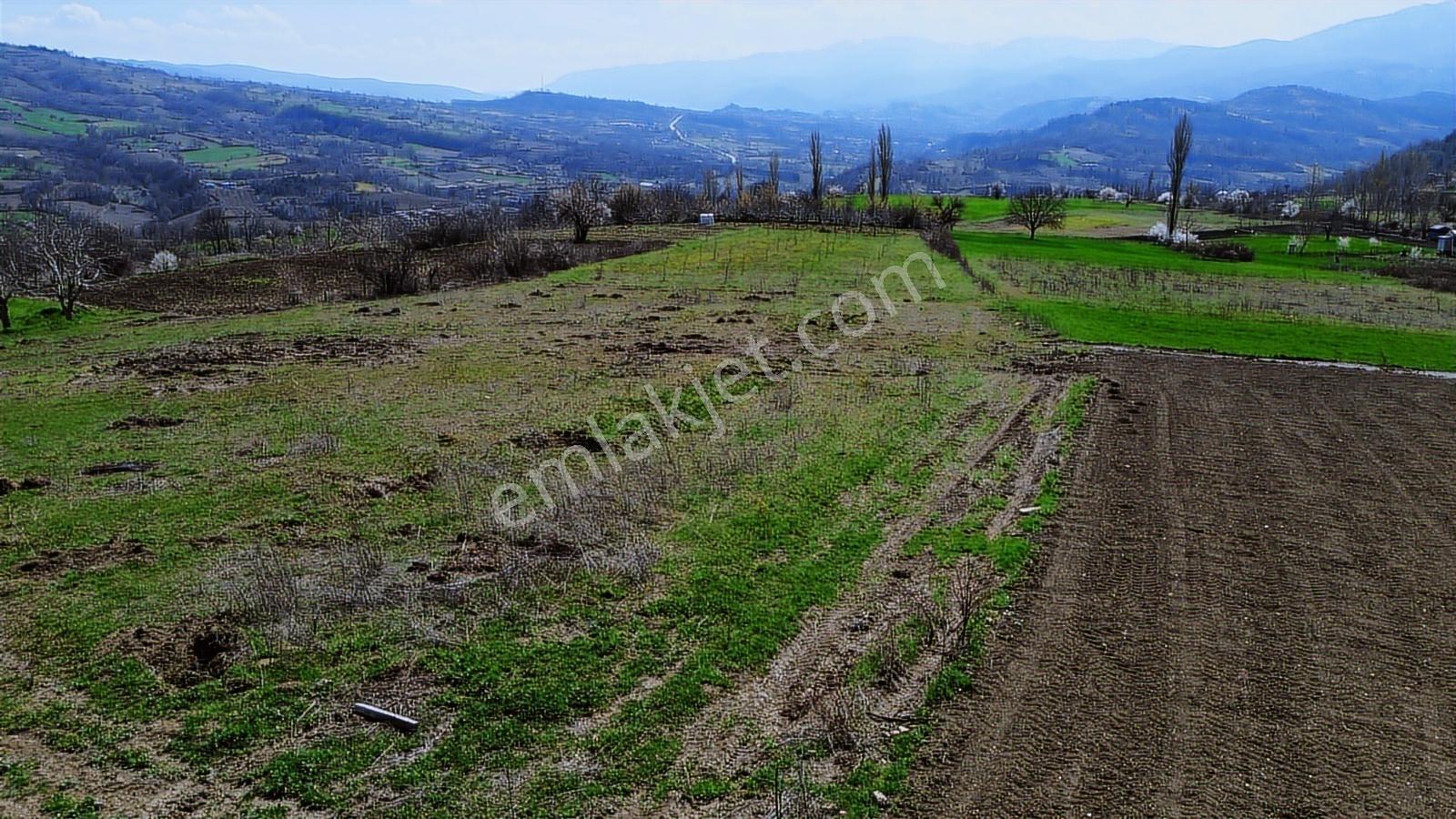 Gündüzlü'de Satılık 4.000m2 Tek Tapu Dümdüz Yatırımlık Arazi - Görsel 9