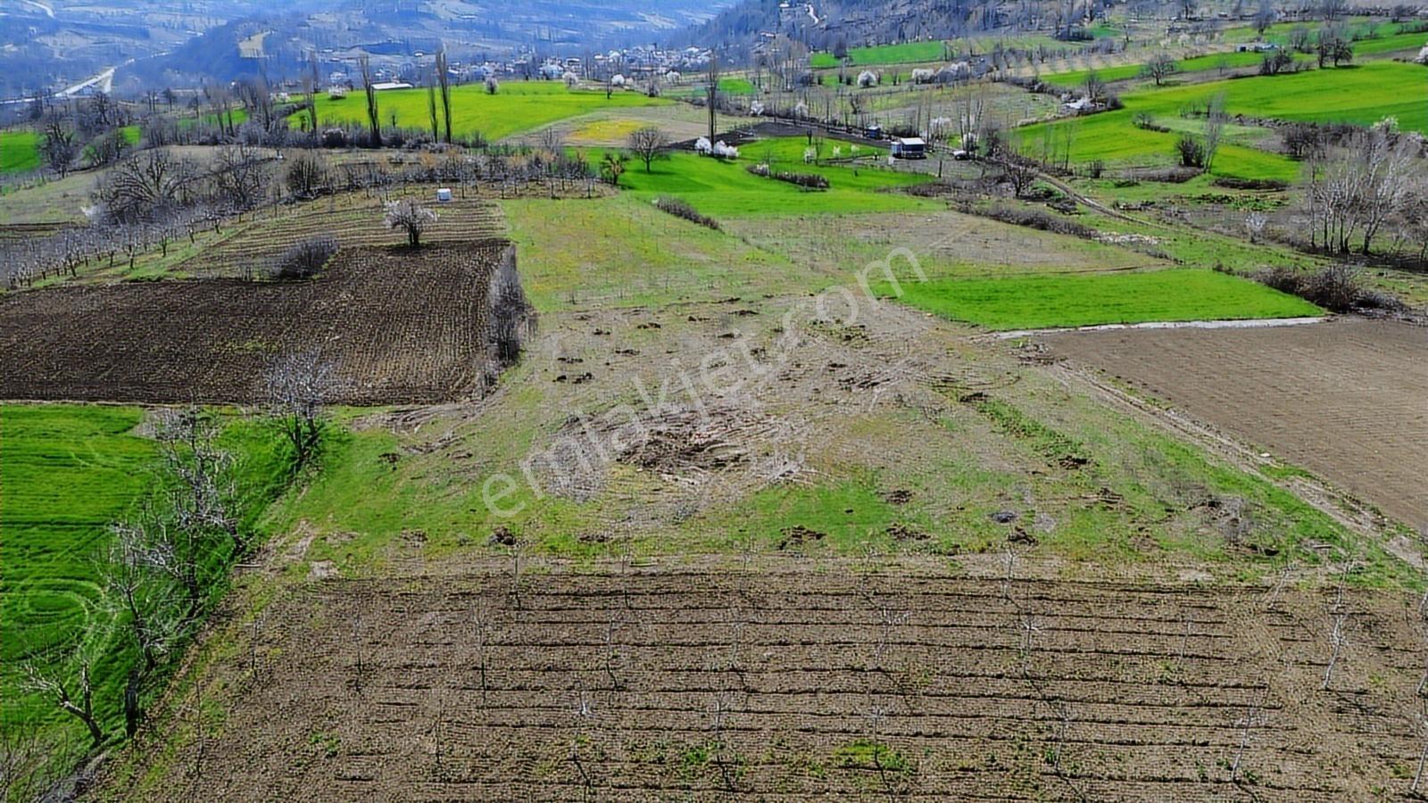 Gündüzlü'de Satılık 4.000m2 Tek Tapu Dümdüz Yatırımlık Arazi - Görsel 17