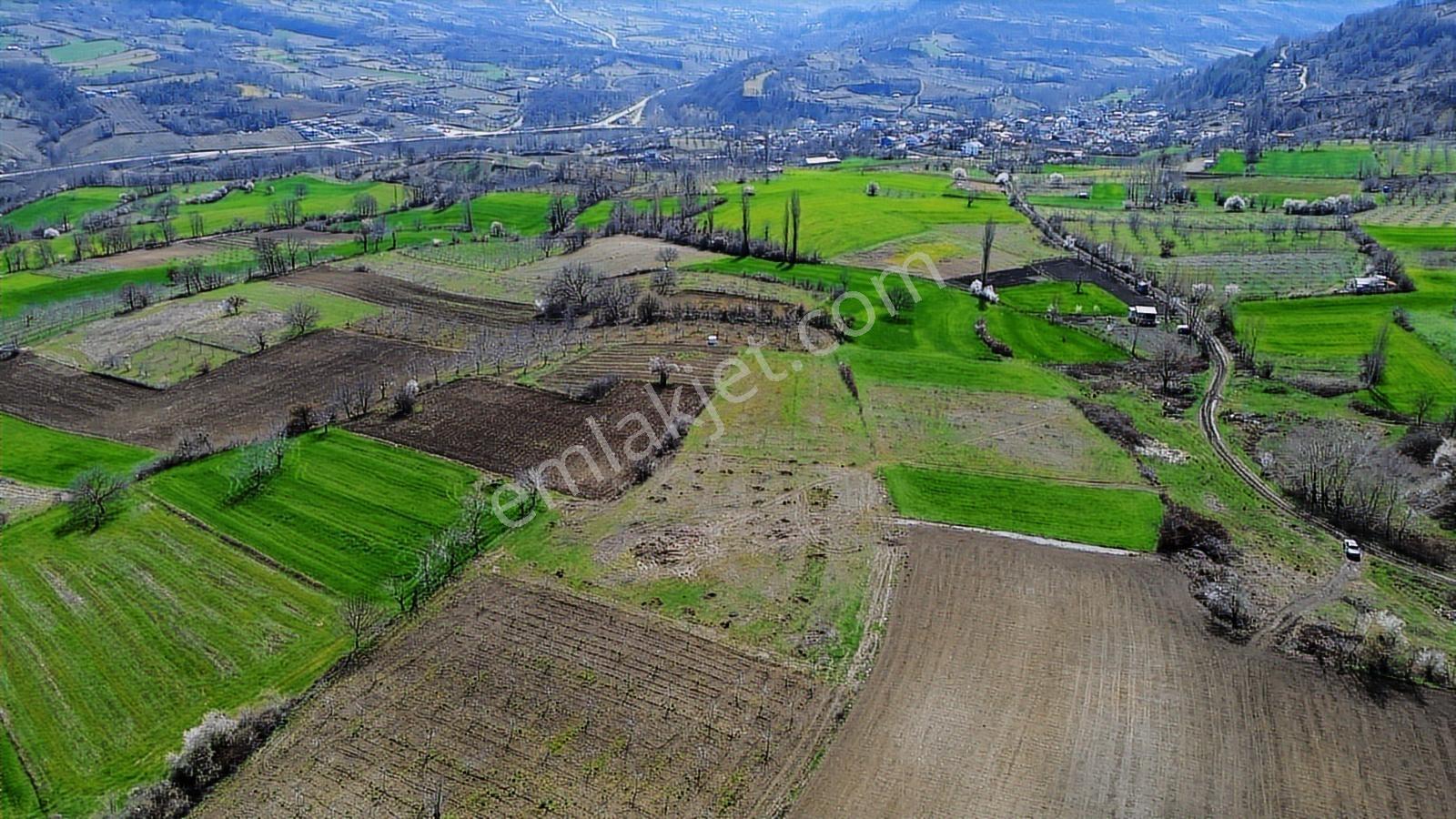 Gündüzlü'de Satılık 4.000m2 Tek Tapu Dümdüz Yatırımlık Arazi - Görsel 7