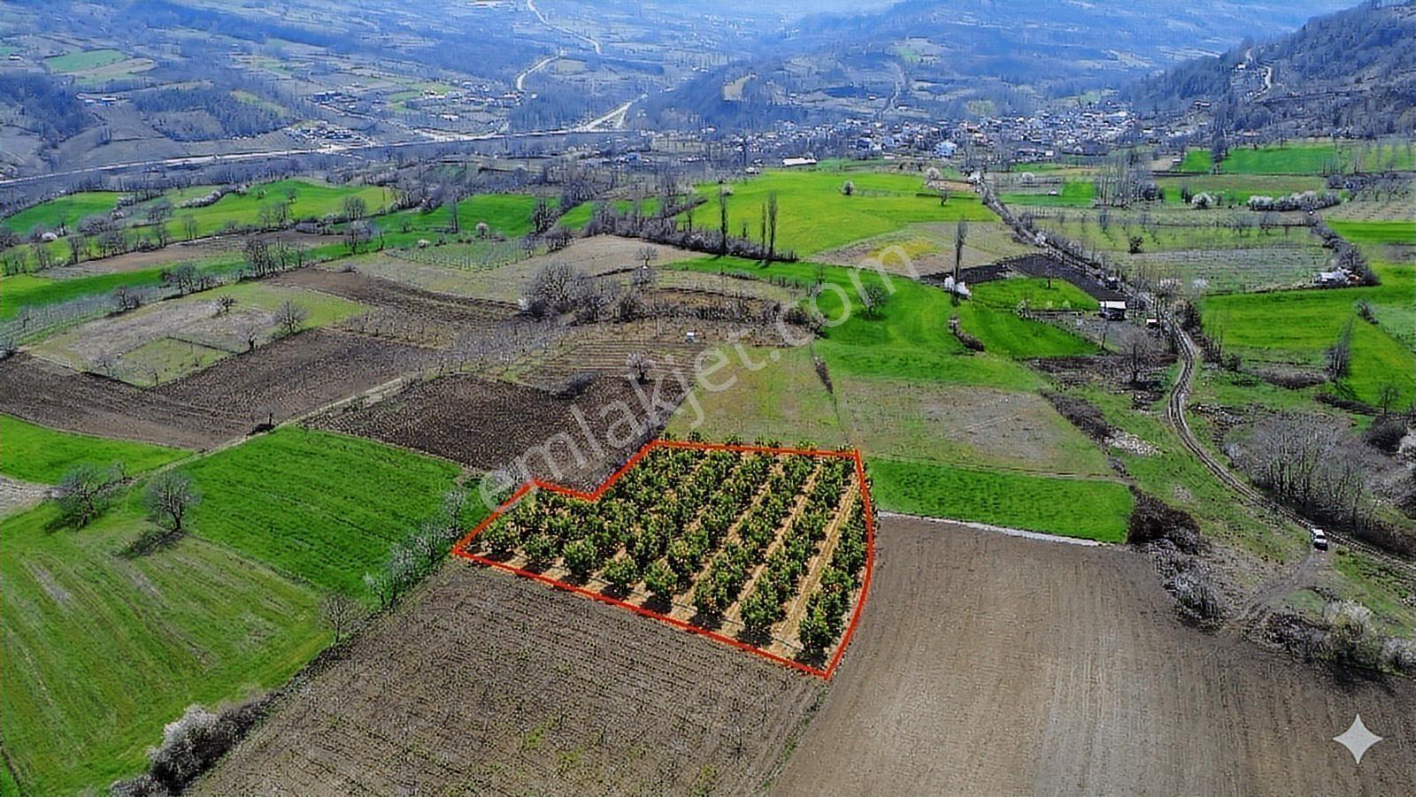 Gündüzlü'de Satılık 4.000m2 Tek Tapu Dümdüz Yatırımlık Arazi - Görsel 11