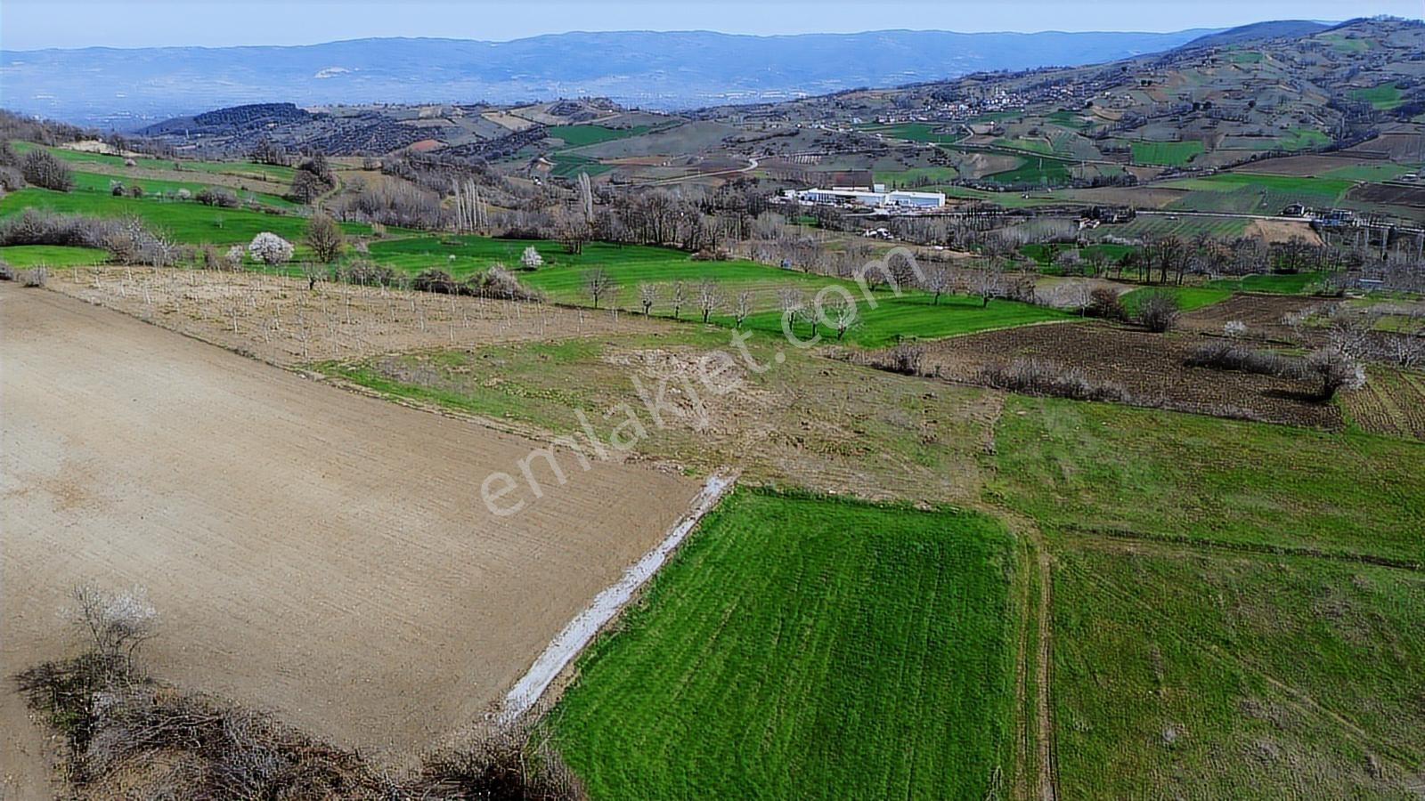 Gündüzlü'de Satılık 4.000m2 Tek Tapu Dümdüz Yatırımlık Arazi - Görsel 6