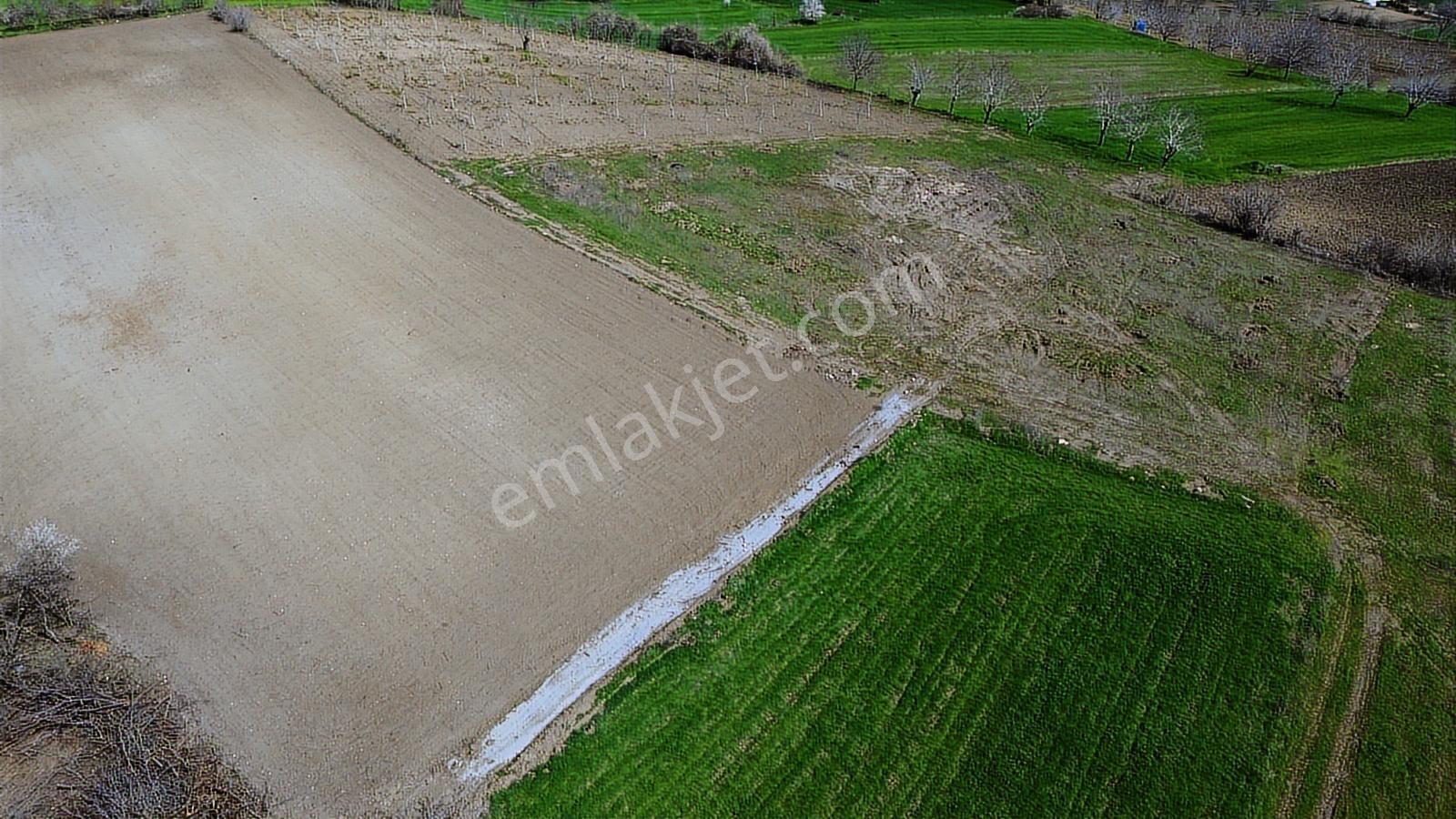 Gündüzlü'de Satılık 4.000m2 Tek Tapu Dümdüz Yatırımlık Arazi - Görsel 22