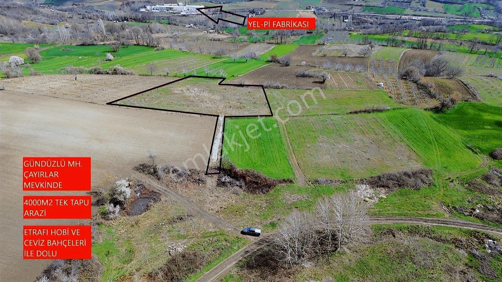 Gündüzlü'de Satılık 4.000m2 Tek Tapu Dümdüz Yatırımlık Arazi - Görsel 2