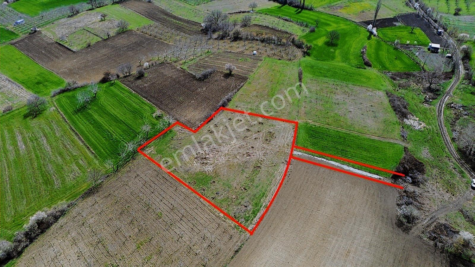 Gündüzlü'de Satılık 4.000m2 Tek Tapu Dümdüz Yatırımlık Arazi - Görsel 12