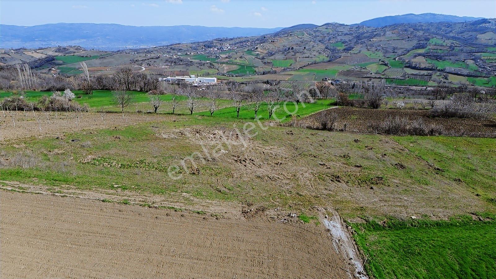Gündüzlü'de Satılık 4.000m2 Tek Tapu Dümdüz Yatırımlık Arazi - Görsel 10