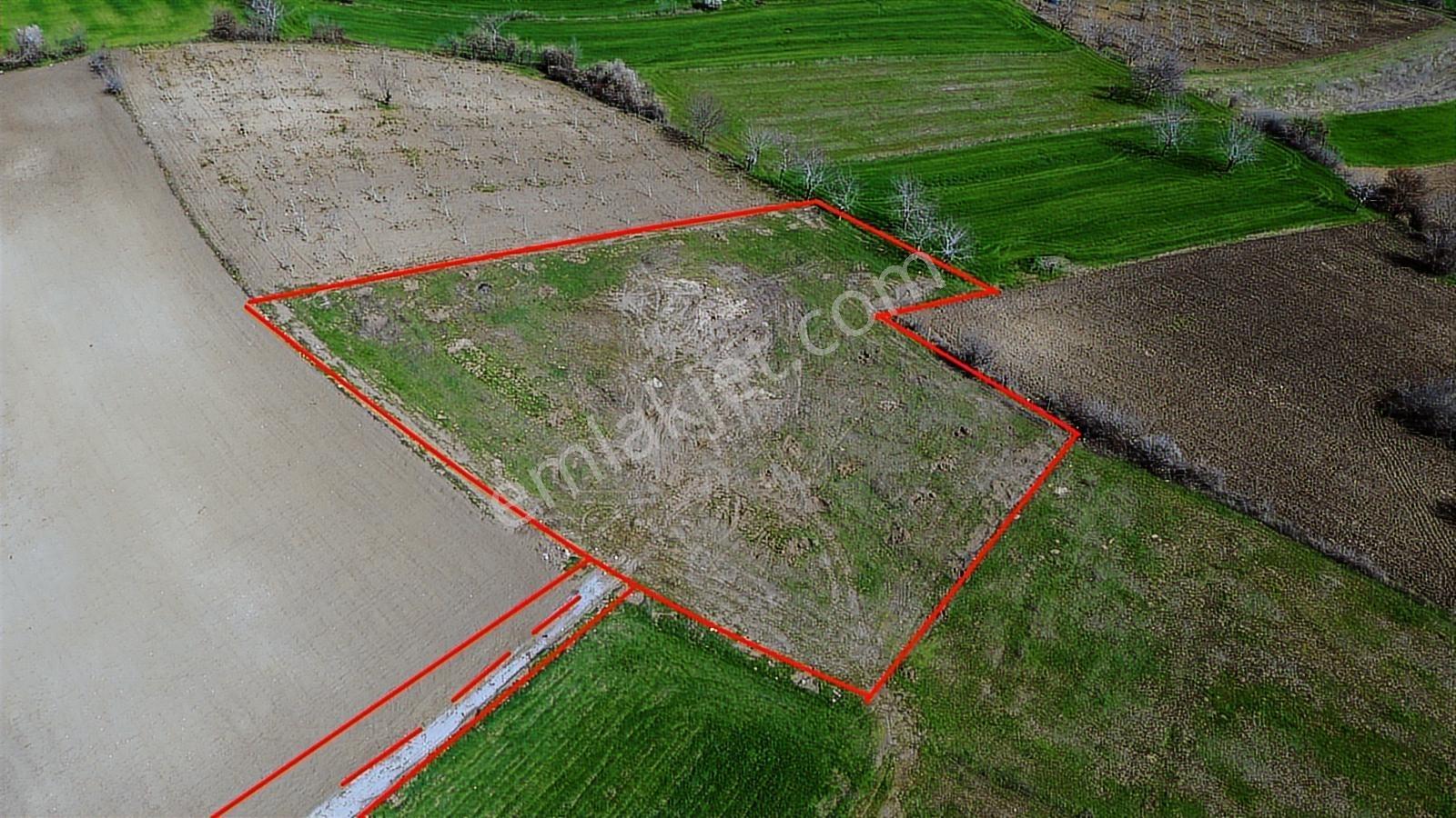 Gündüzlü'de Satılık 4.000m2 Tek Tapu Dümdüz Yatırımlık Arazi - Görsel 5