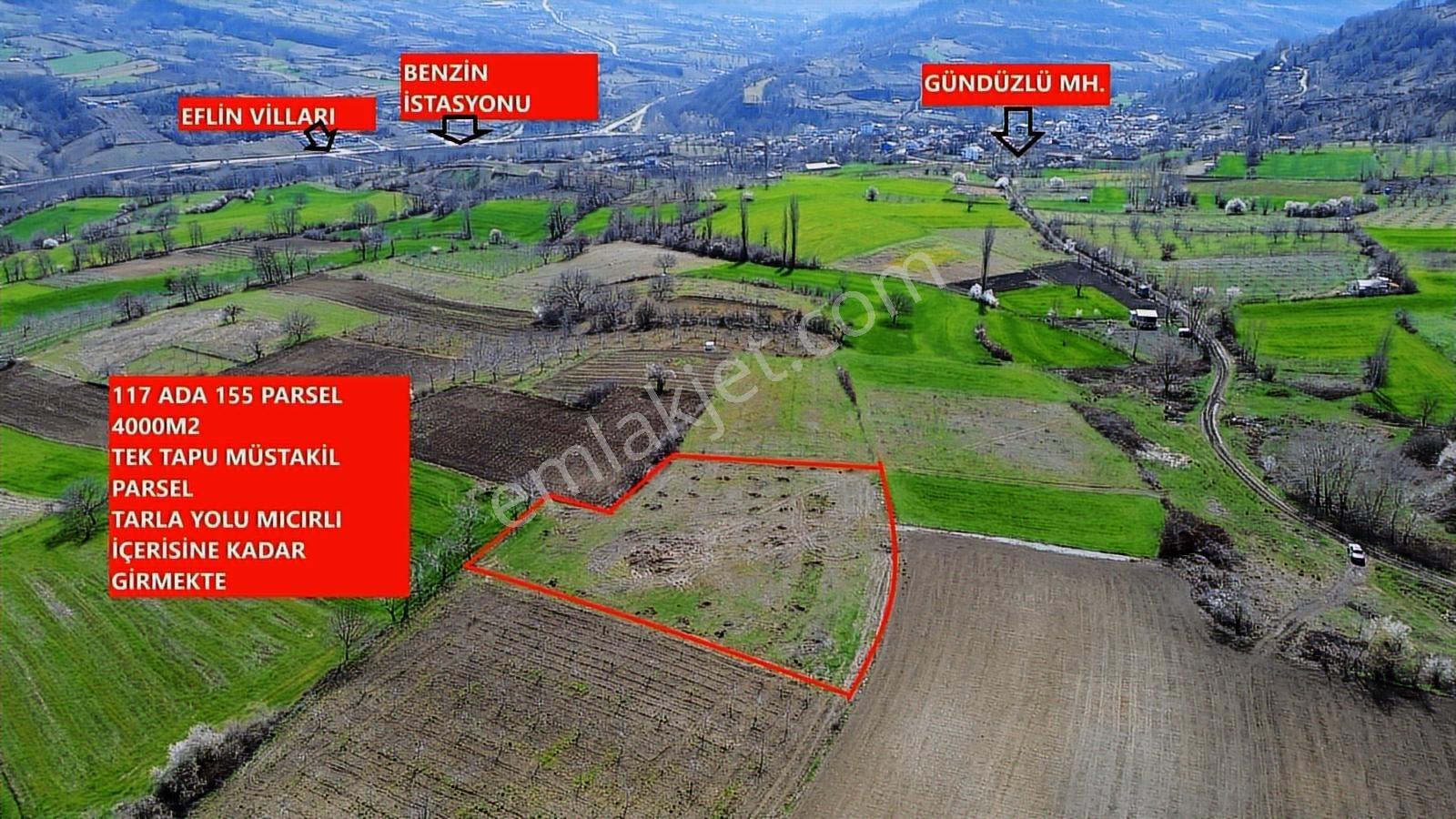 Gündüzlü'de Satılık 4.000m2 Tek Tapu Dümdüz Yatırımlık Arazi - Görsel 4
