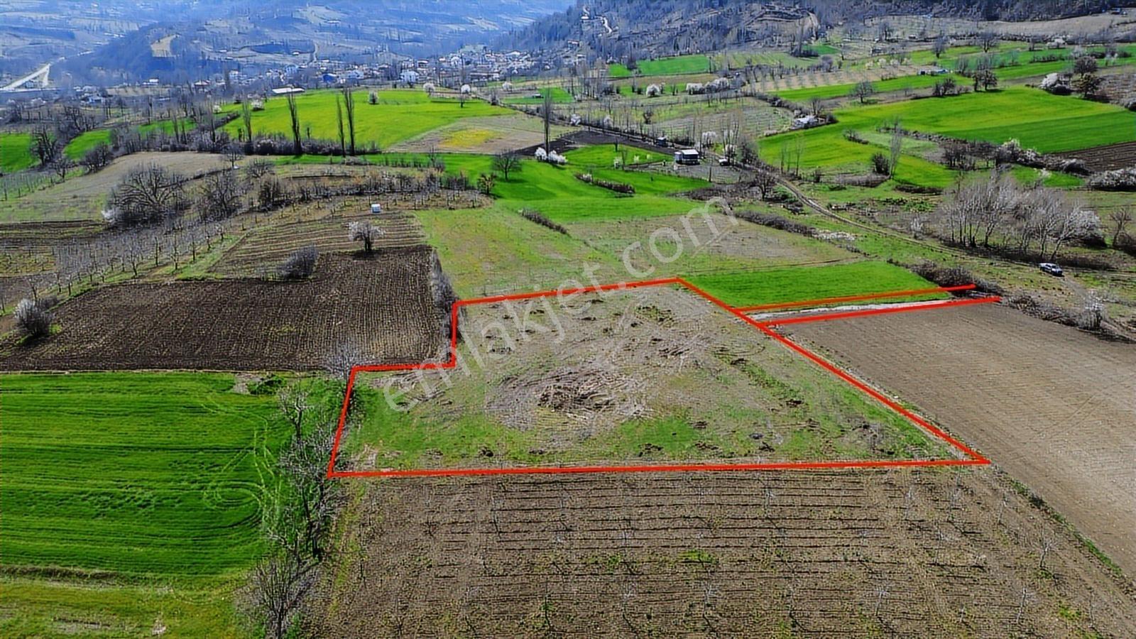 Gündüzlü'de Satılık 4.000m2 Tek Tapu Dümdüz Yatırımlık Arazi - Görsel 13