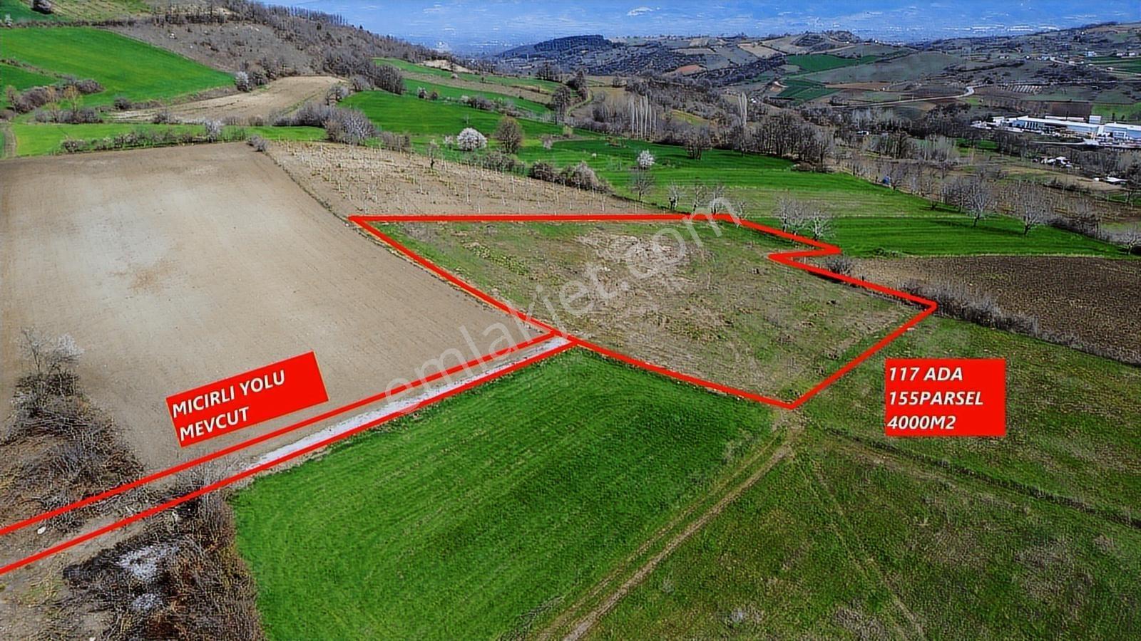 Gündüzlü'de Satılık 4.000m2 Tek Tapu Dümdüz Yatırımlık Arazi - Görsel 3