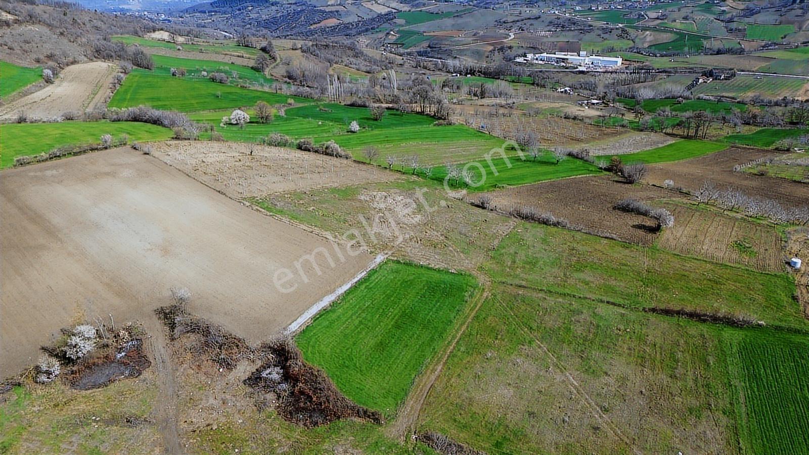 Gündüzlü'de Satılık 4.000m2 Tek Tapu Dümdüz Yatırımlık Arazi - Görsel 14