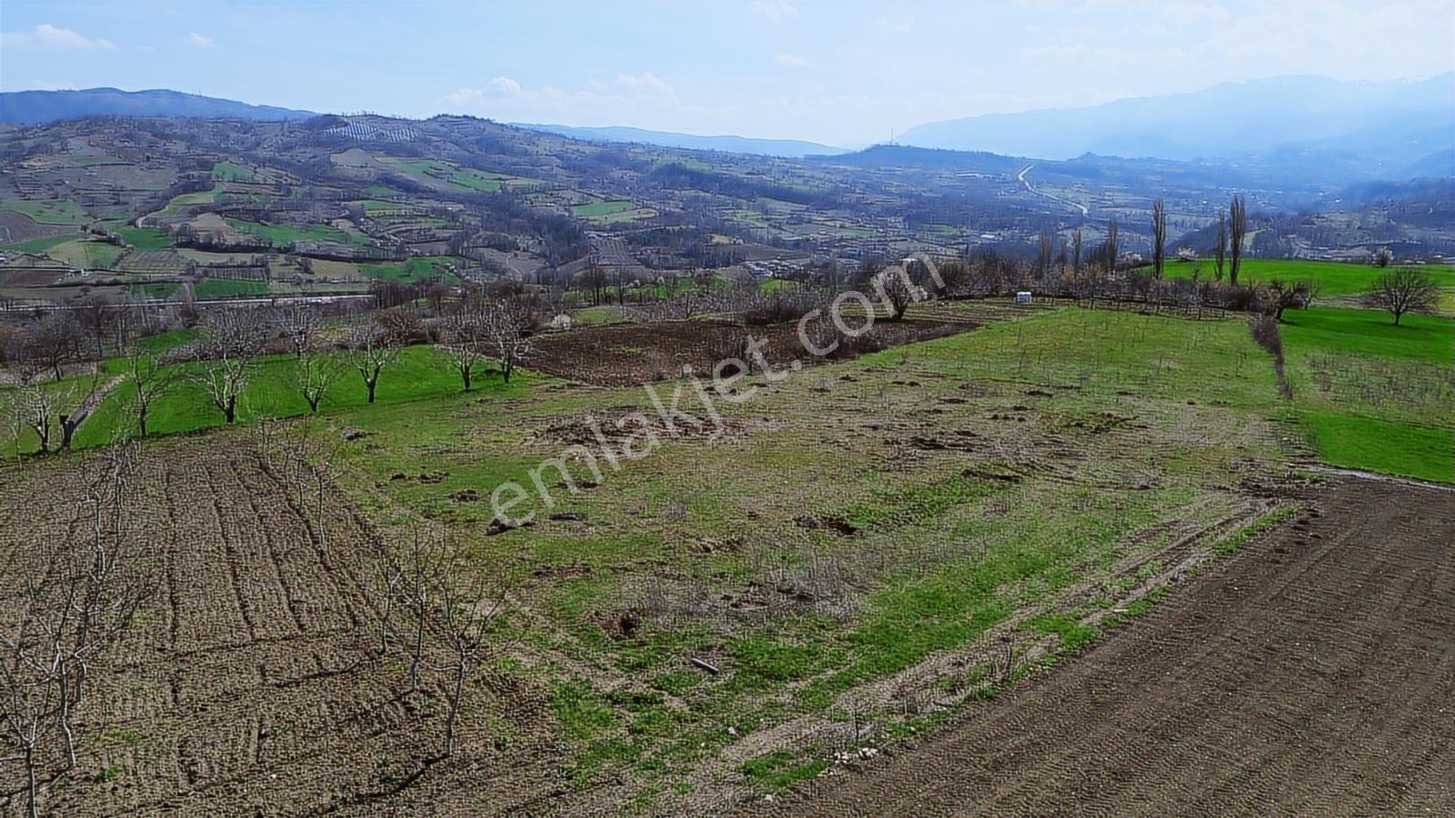 Gündüzlü'de Satılık 4.000m2 Tek Tapu Dümdüz Yatırımlık Arazi - Görsel 19