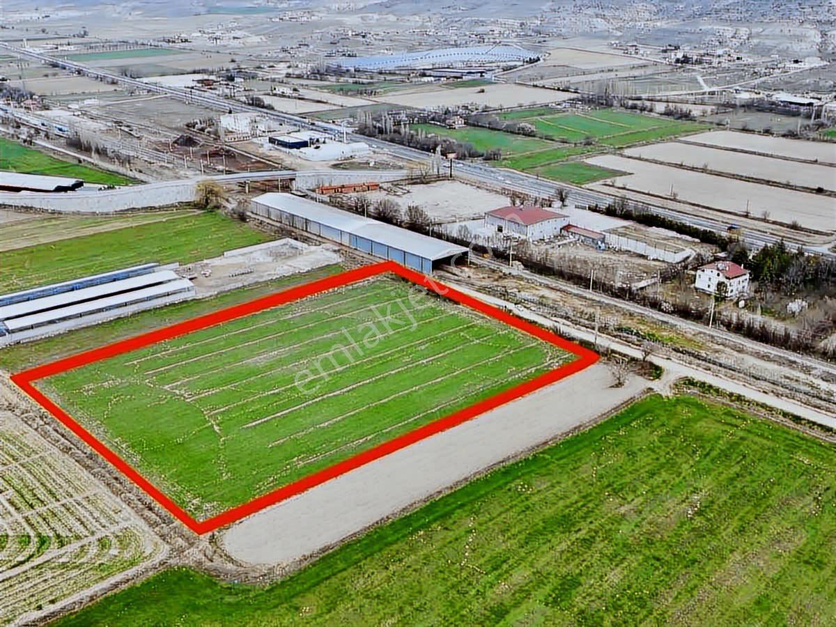 Duru Team - Bağpınar'da 18.790 M² Yol Kenarı Sulak Tarla Fırsatı