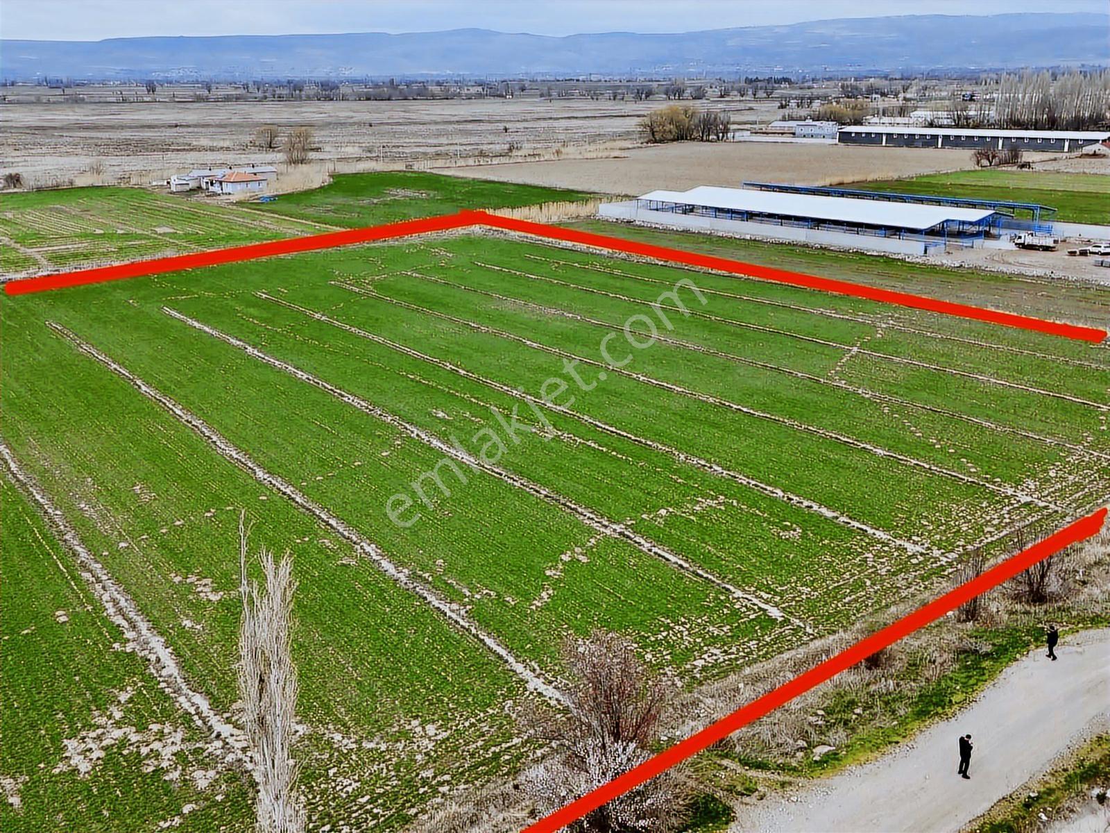 Duru Team - Bağpınar'da 18.790 M² Yol Kenarı Sulak Tarla Fırsatı - Görsel 9