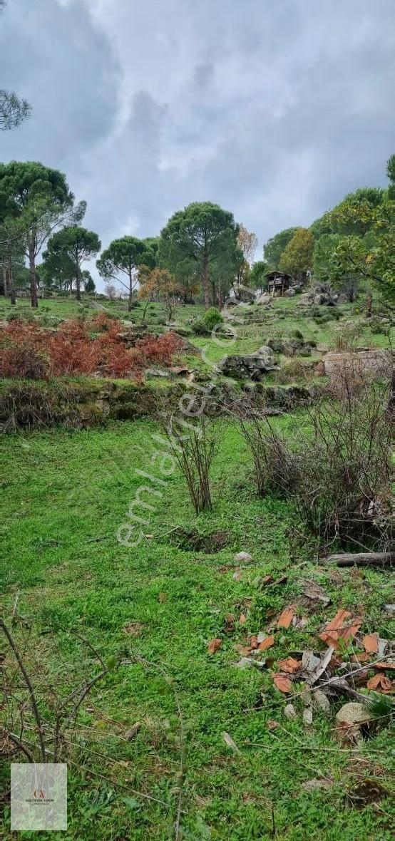 Bergama Göbeller Hisseli 5750 M² Satılık Tarım Arazisi - Görsel 2