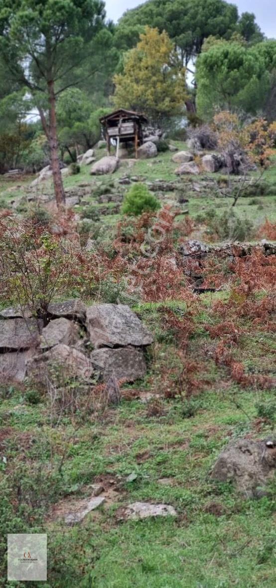 Bergama Göbeller Hisseli 5750 M² Satılık Tarım Arazisi - Görsel 5