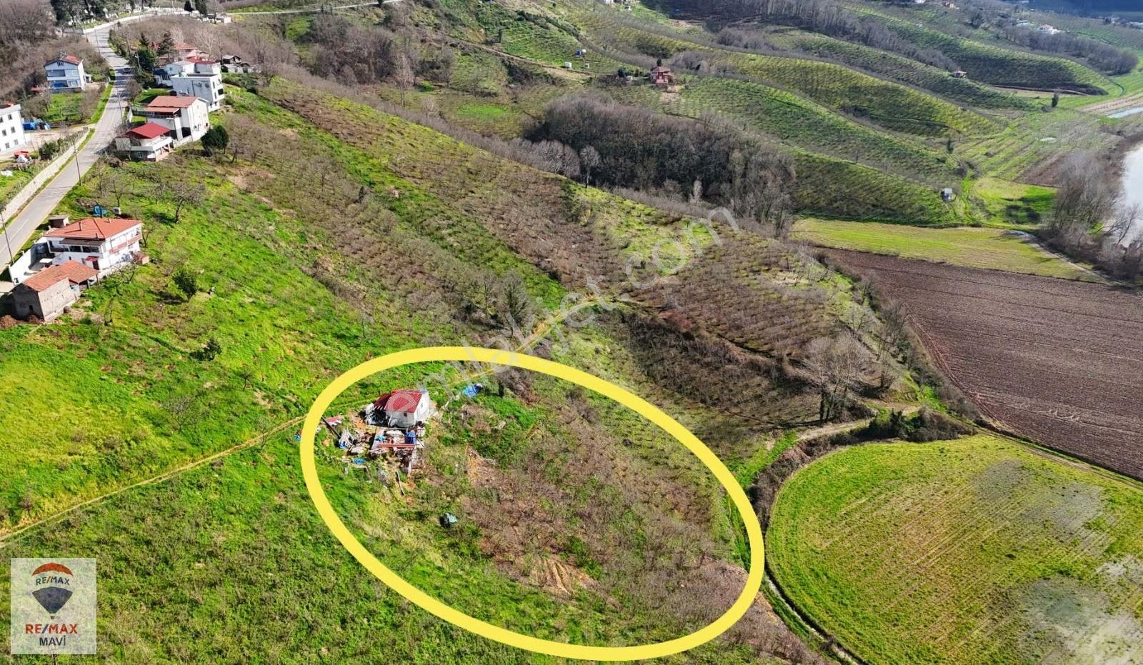 Karasu Akkum Köyünde 1+1 Ev Ve Hobi Bahçesi - Görsel 12