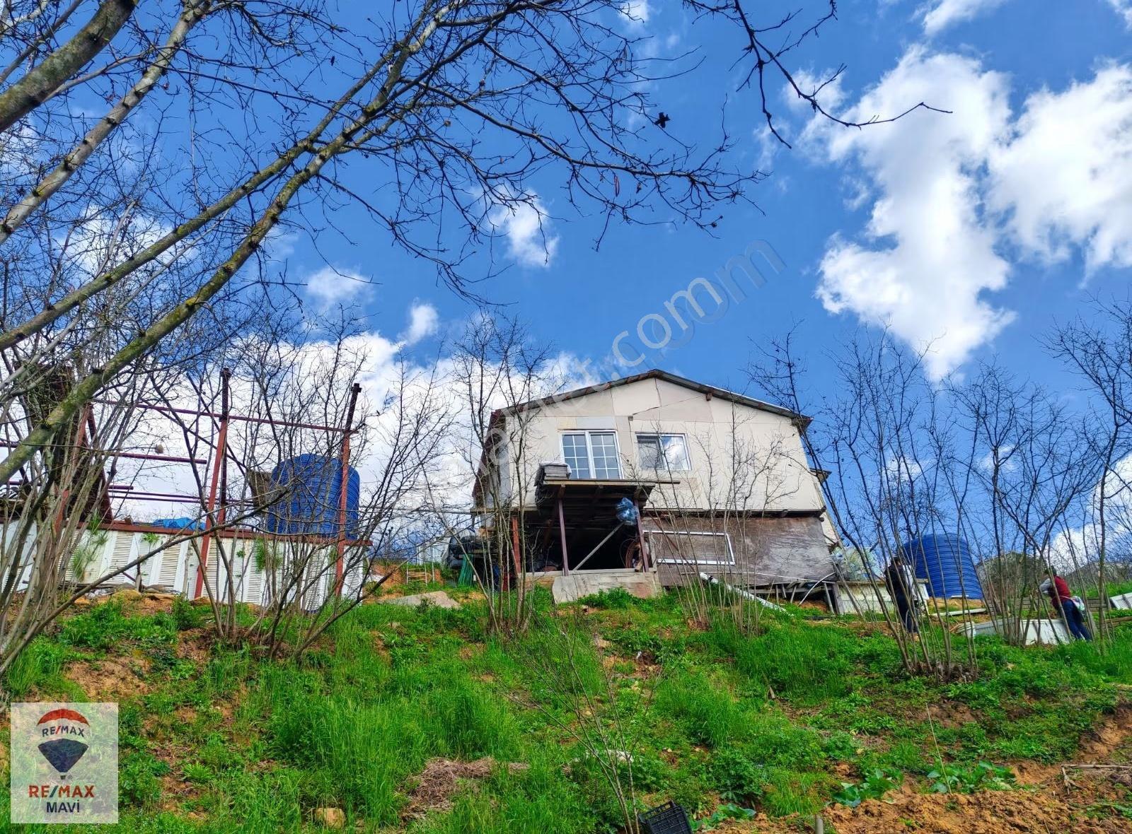 Karasu Akkum Köyünde 1+1 Ev Ve Hobi Bahçesi - Görsel 9