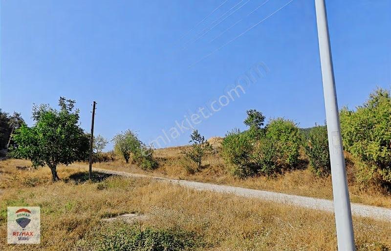 Remax Mavi'den Taraklı Da Satılık Verimli Arazi - Görsel 5