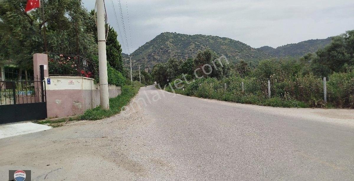 Aydın Germencik Ömerbeyli De Satılık 12 Dönüm Zeytin Bahçesi - Görsel 17